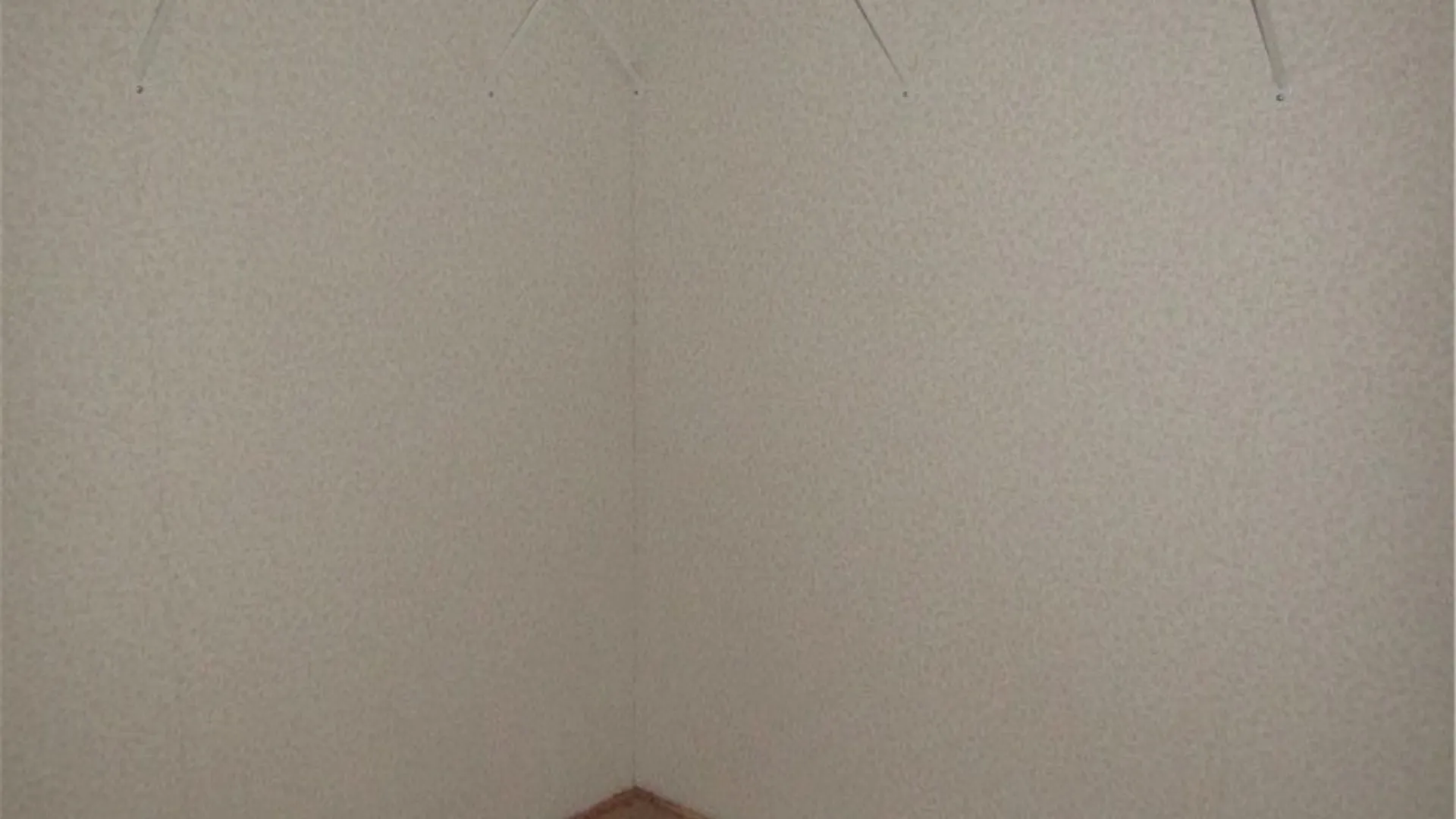 Property at 7065 Pleasant Vly, Bolivar, NY 14715 19