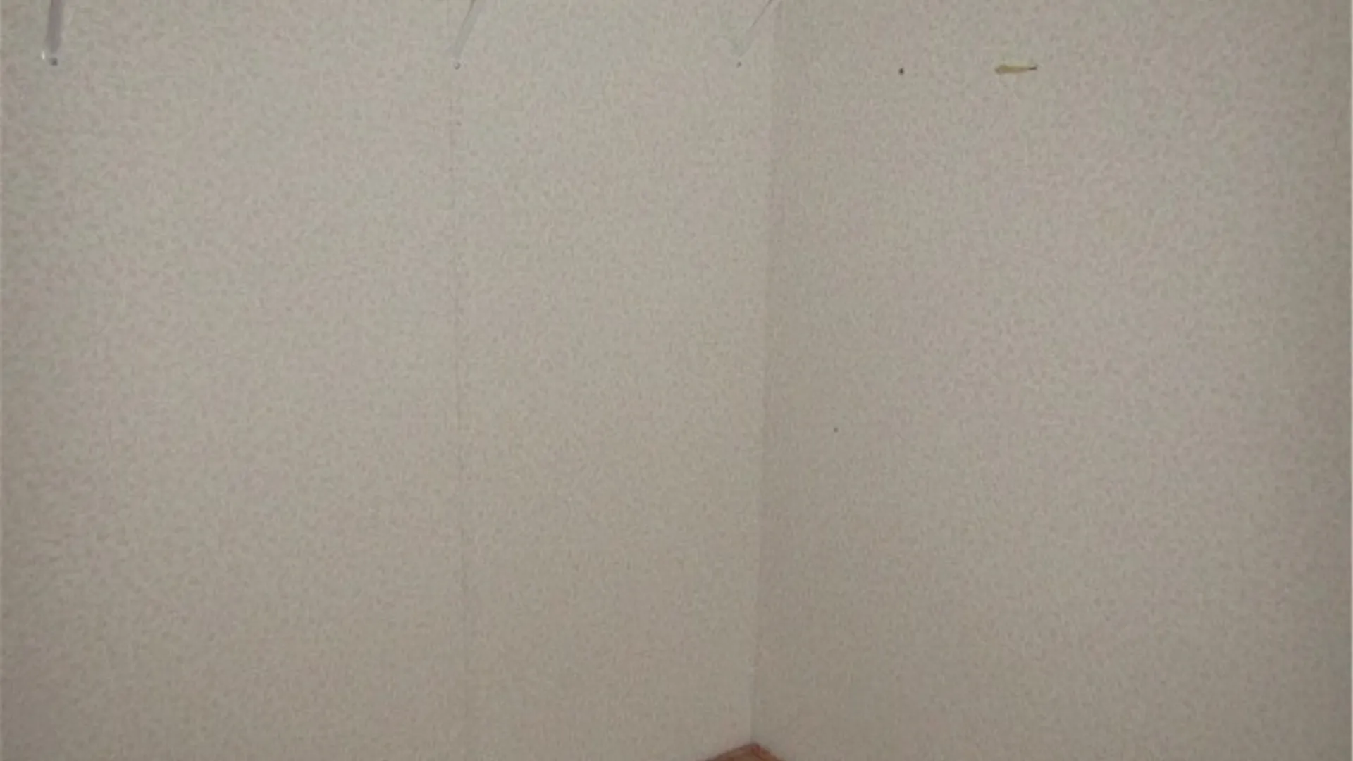 Property at 7065 Pleasant Vly, Bolivar, NY 14715 20