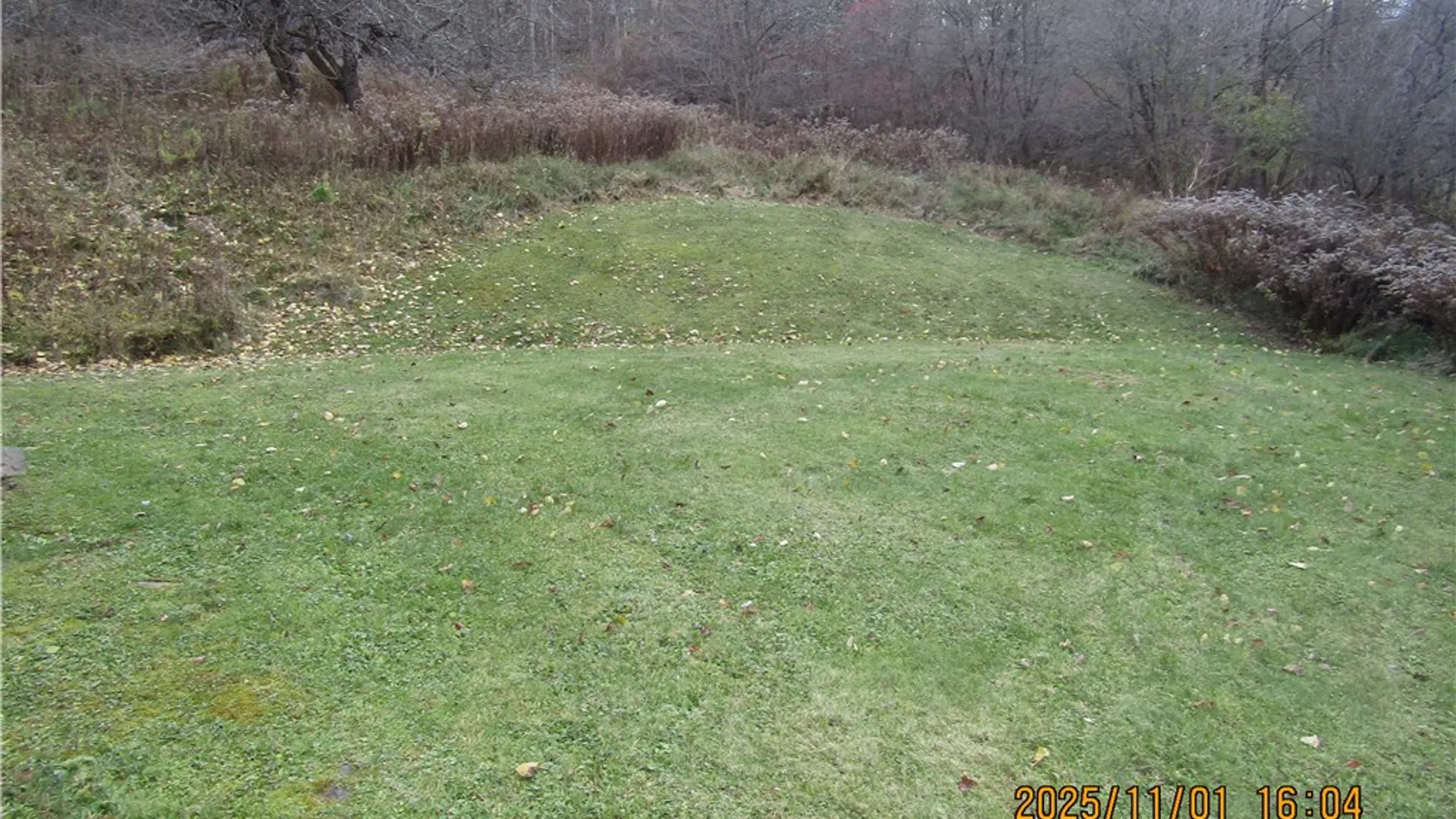 Property at 7065 Pleasant Vly, Bolivar, NY 14715 6