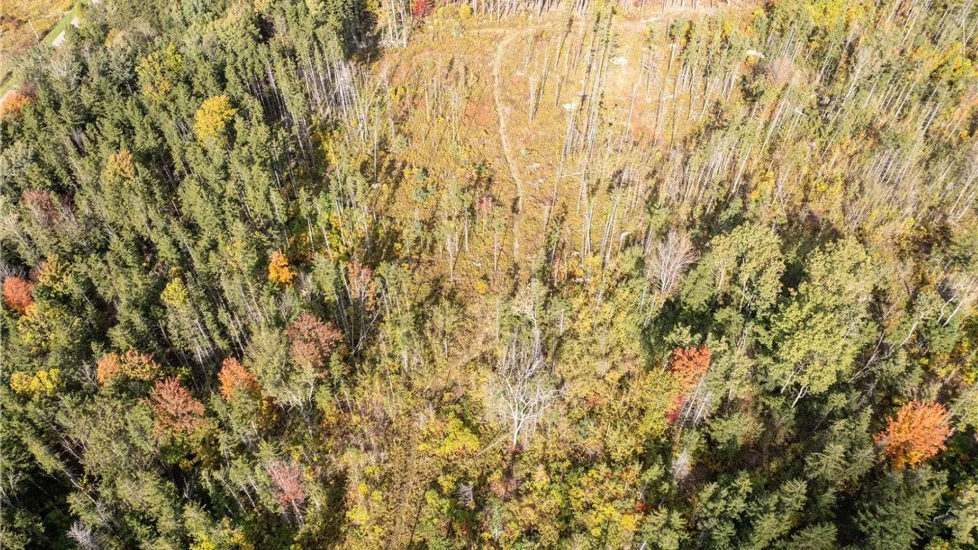 Property at 8170 Campbell Road, Portland, NY 14769 11