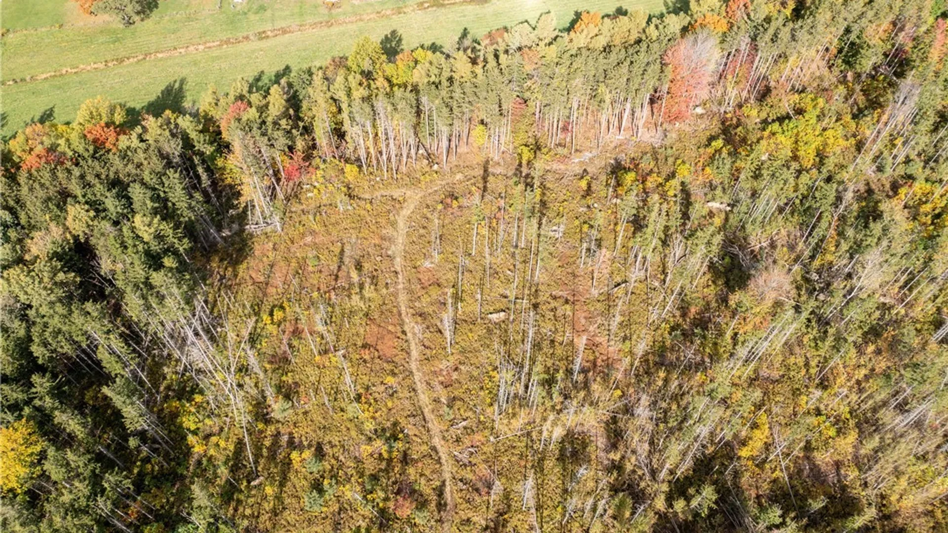 Property at 8170 Campbell Road, Portland, NY 14769 12