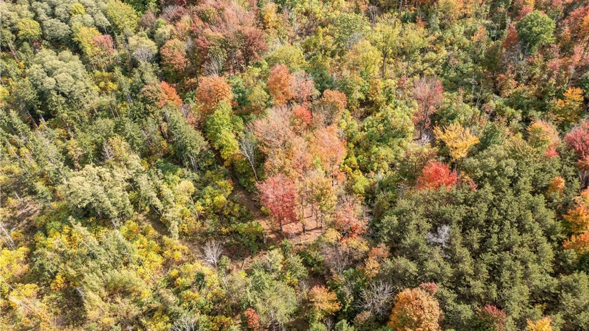 Property at 8170 Campbell Road, Portland, NY 14769 13