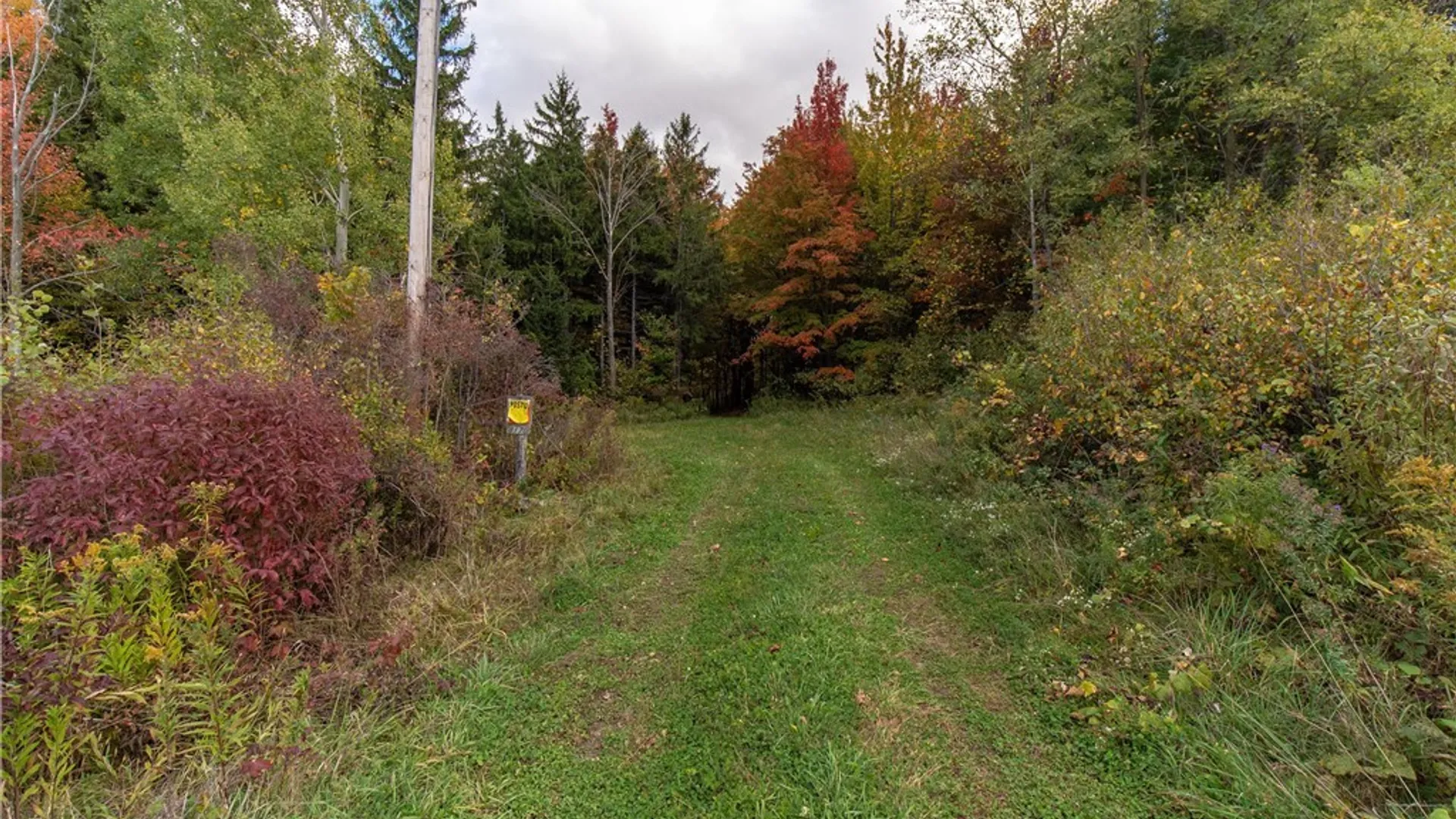 Property at 8170 Campbell Road, Portland, NY 14769 6