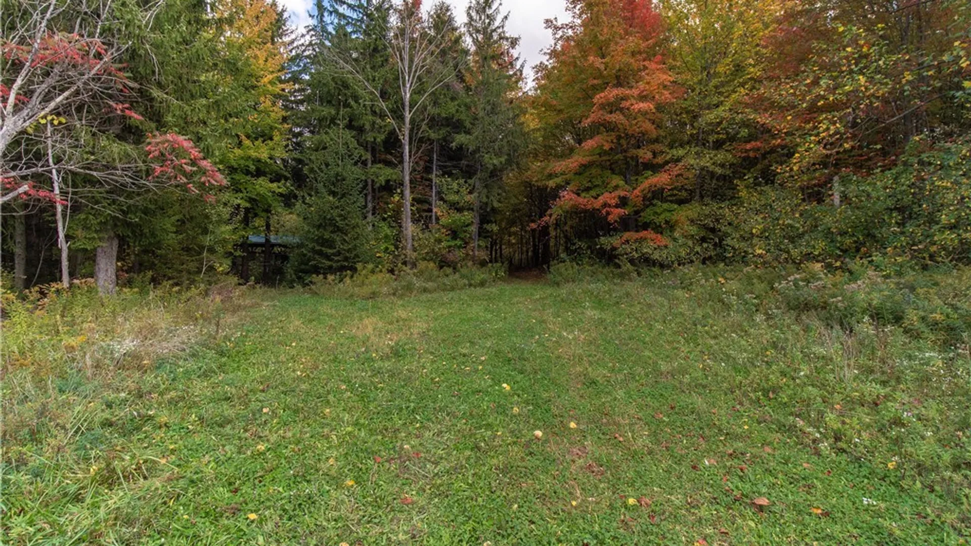 Property at 8170 Campbell Road, Portland, NY 14769 7