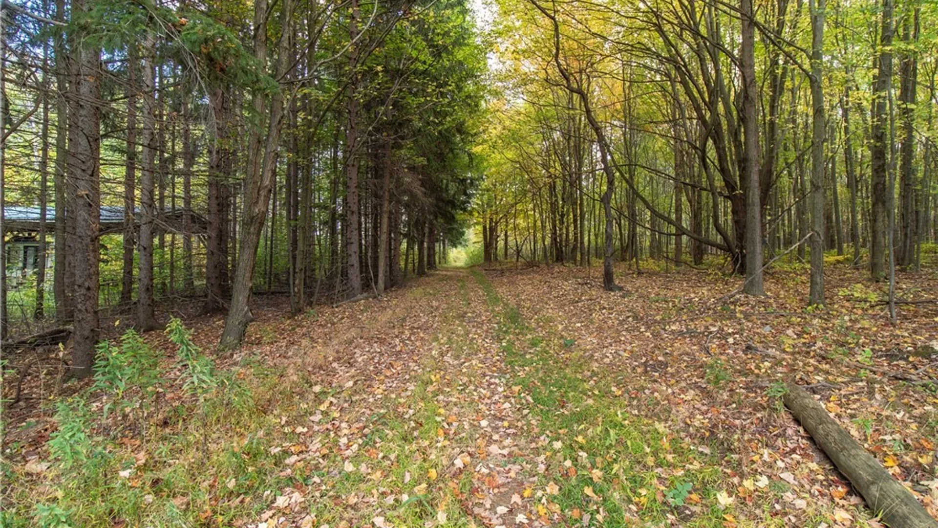 Property at 8170 Campbell Road, Portland, NY 14769 8