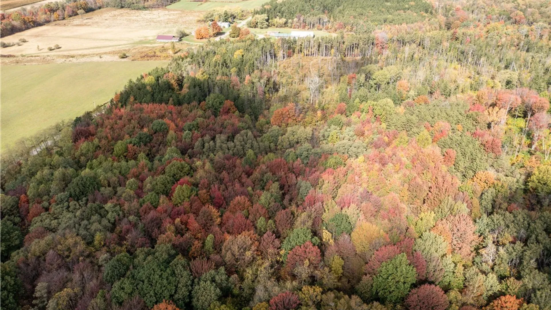 Property at 8170 Campbell Road, Portland, NY 14769 9