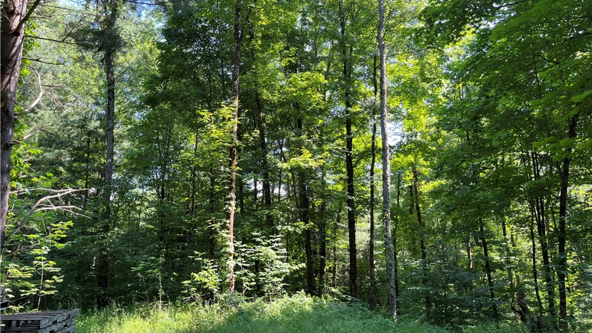 Property at 357 Cable Road, Amboy, NY 13493 19