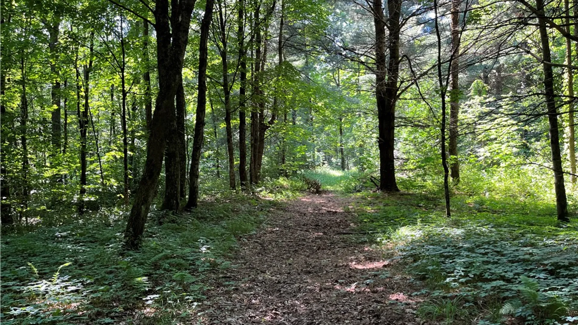 Property at 357 Cable Road, Amboy, NY 13493 20