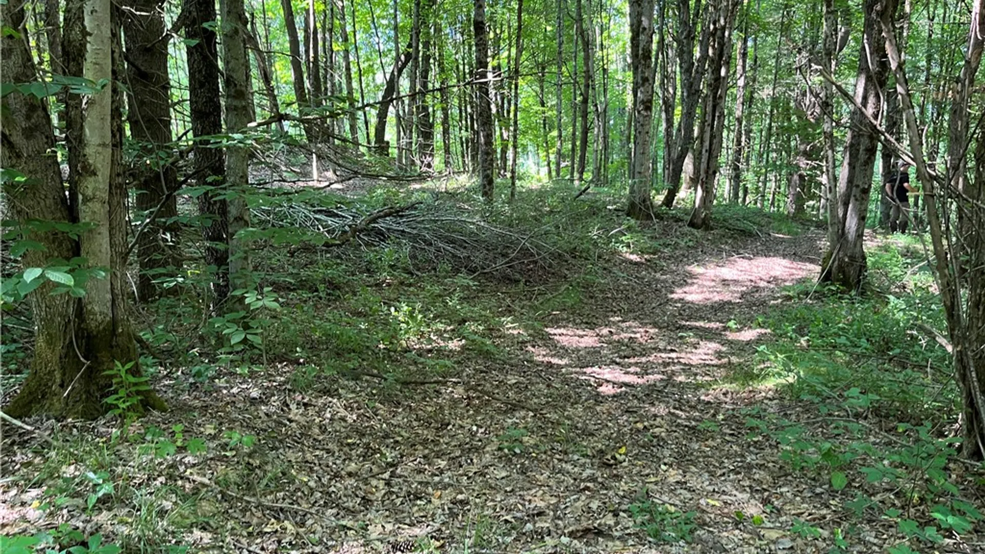 Property at 357 Cable Road, Amboy, NY 13493 21