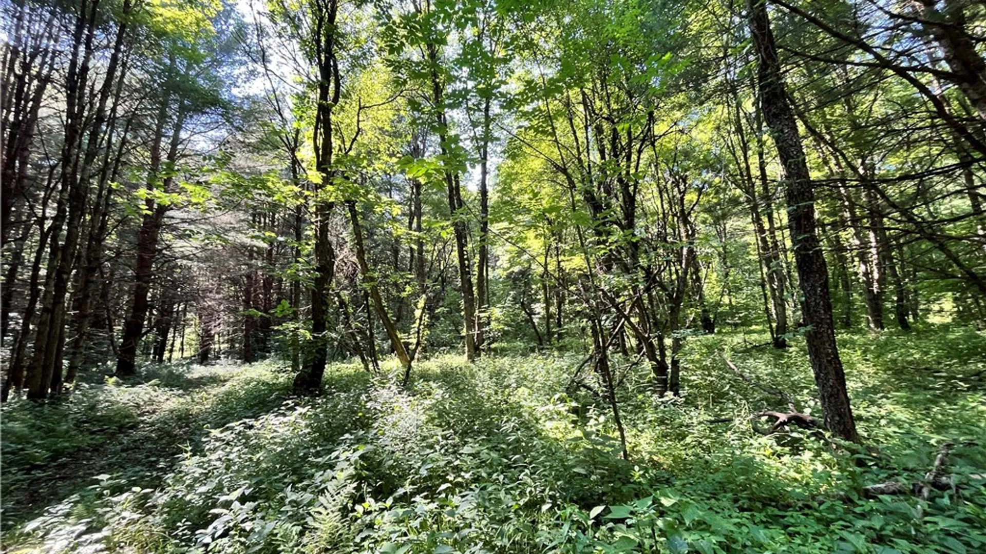 Property at 357 Cable Road, Amboy, NY 13493 24