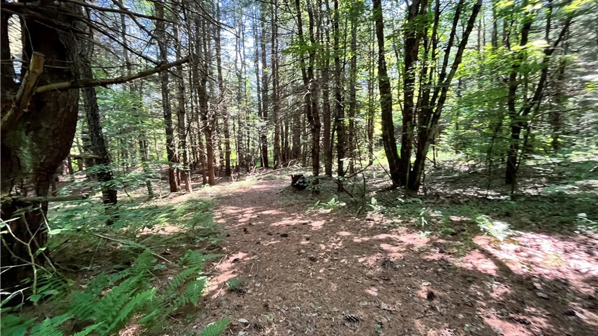 Property at 357 Cable Road, Amboy, NY 13493 25