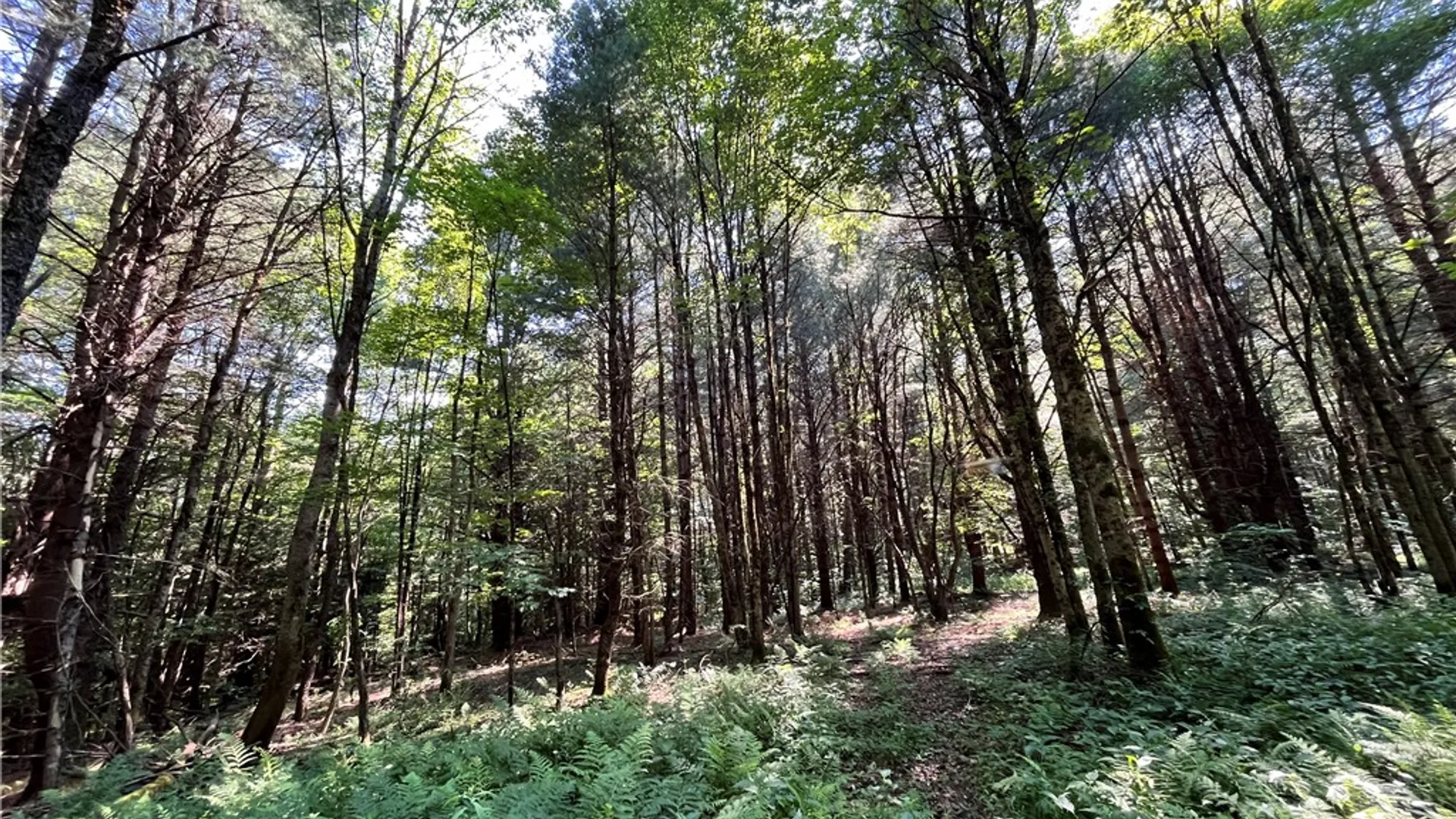 Property at 357 Cable Road, Amboy, NY 13493 26