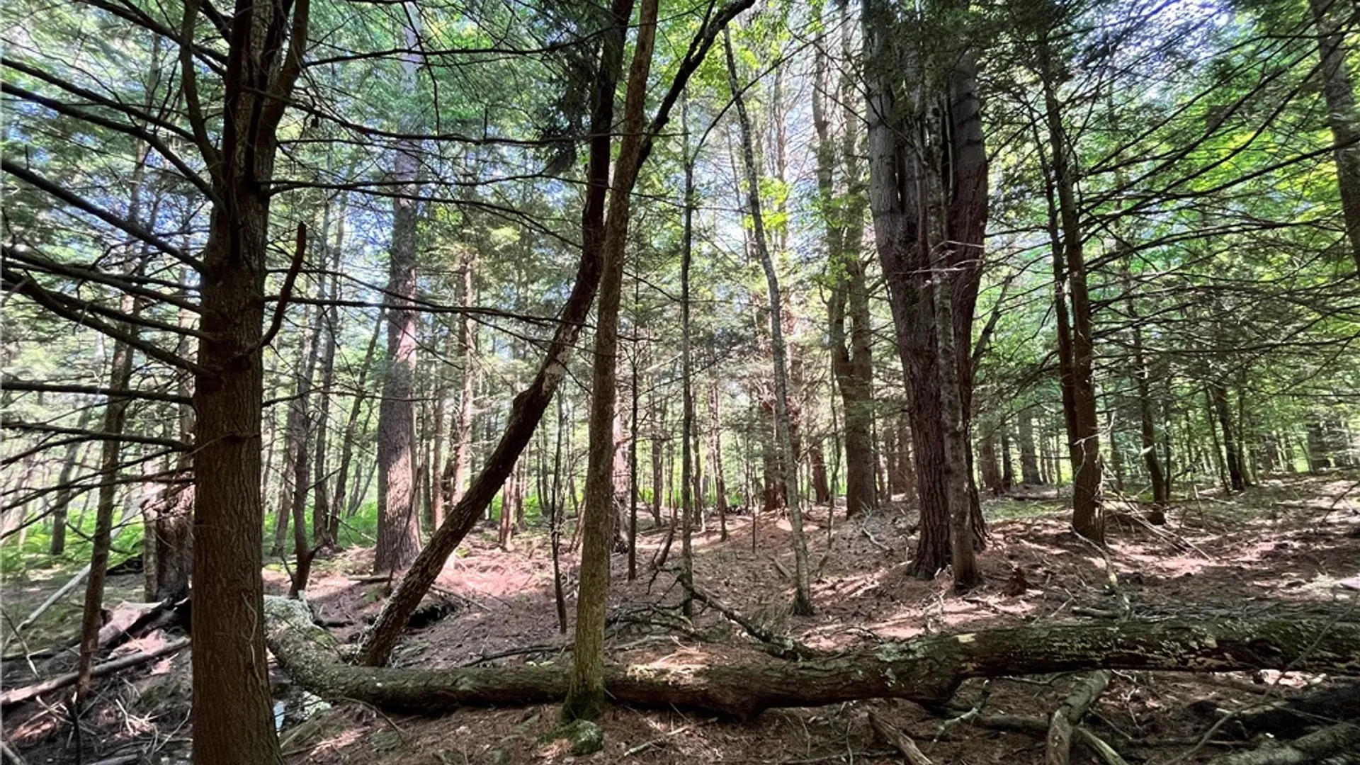 Property at 357 Cable Road, Amboy, NY 13493 27