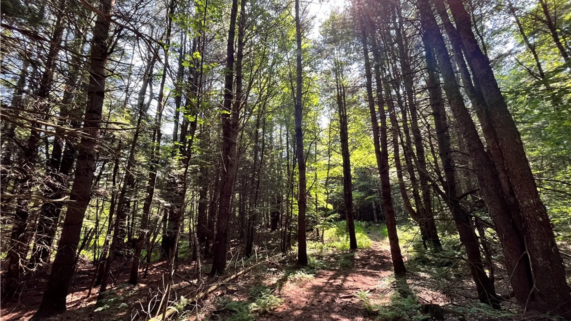 Property at 357 Cable Road, Amboy, NY 13493 28