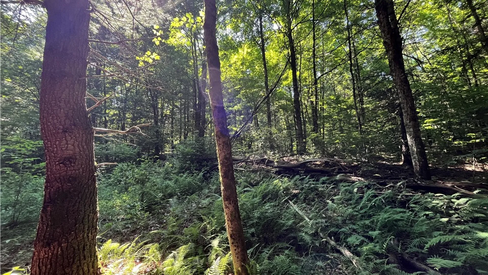 Property at 357 Cable Road, Amboy, NY 13493 29