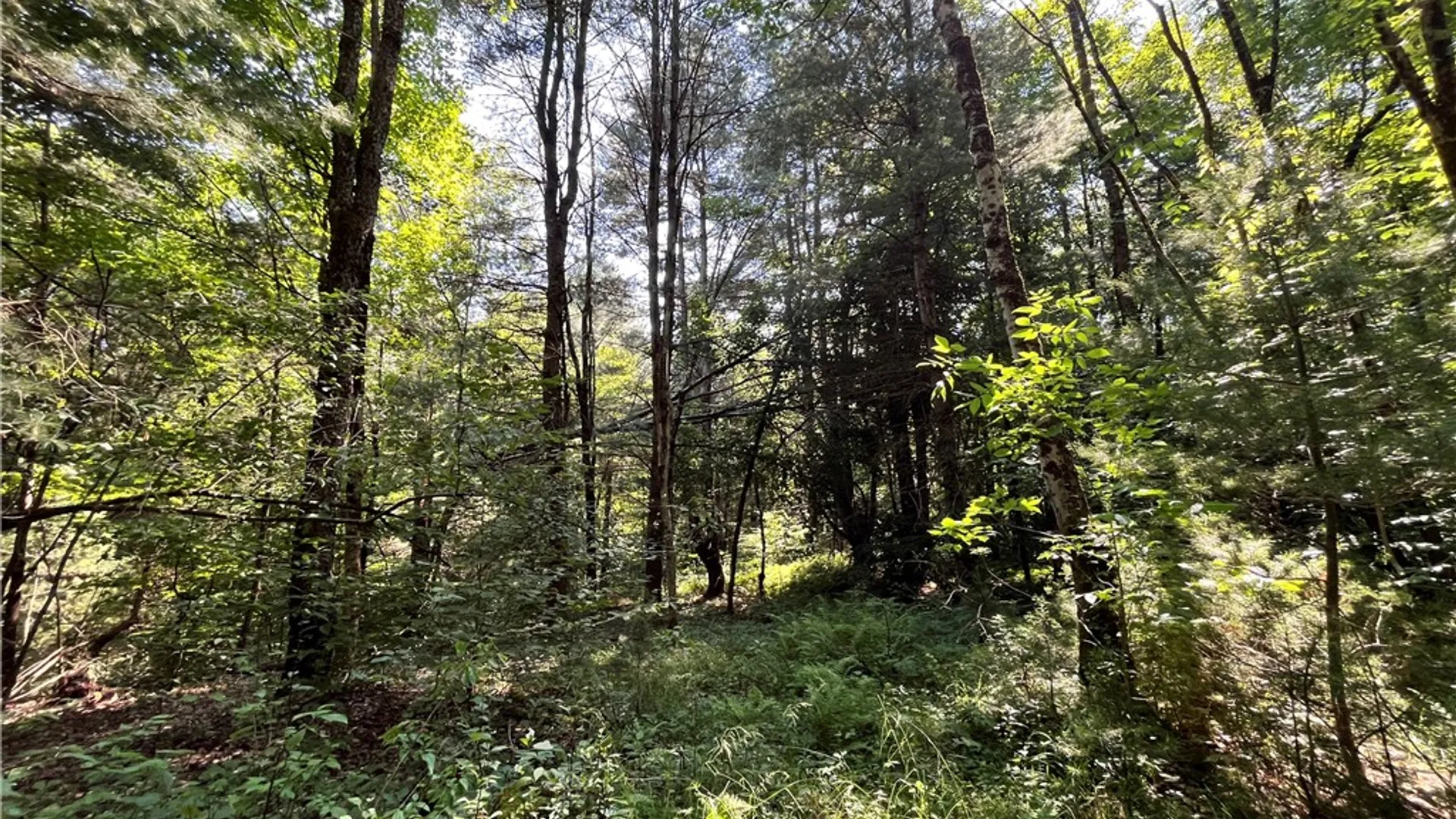 Property at 357 Cable Road, Amboy, NY 13493 31