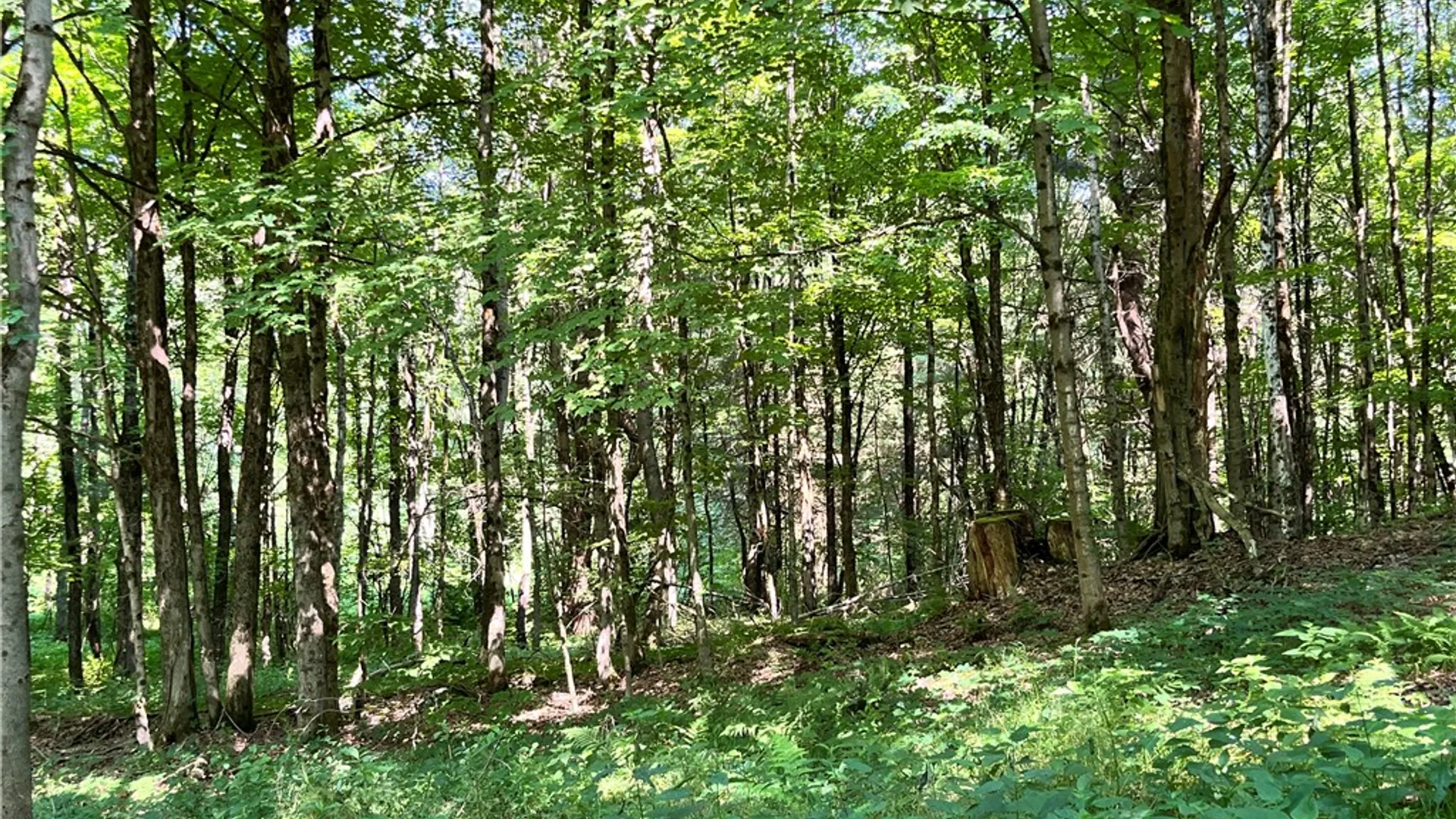 Property at 357 Cable Road, Amboy, NY 13493 32