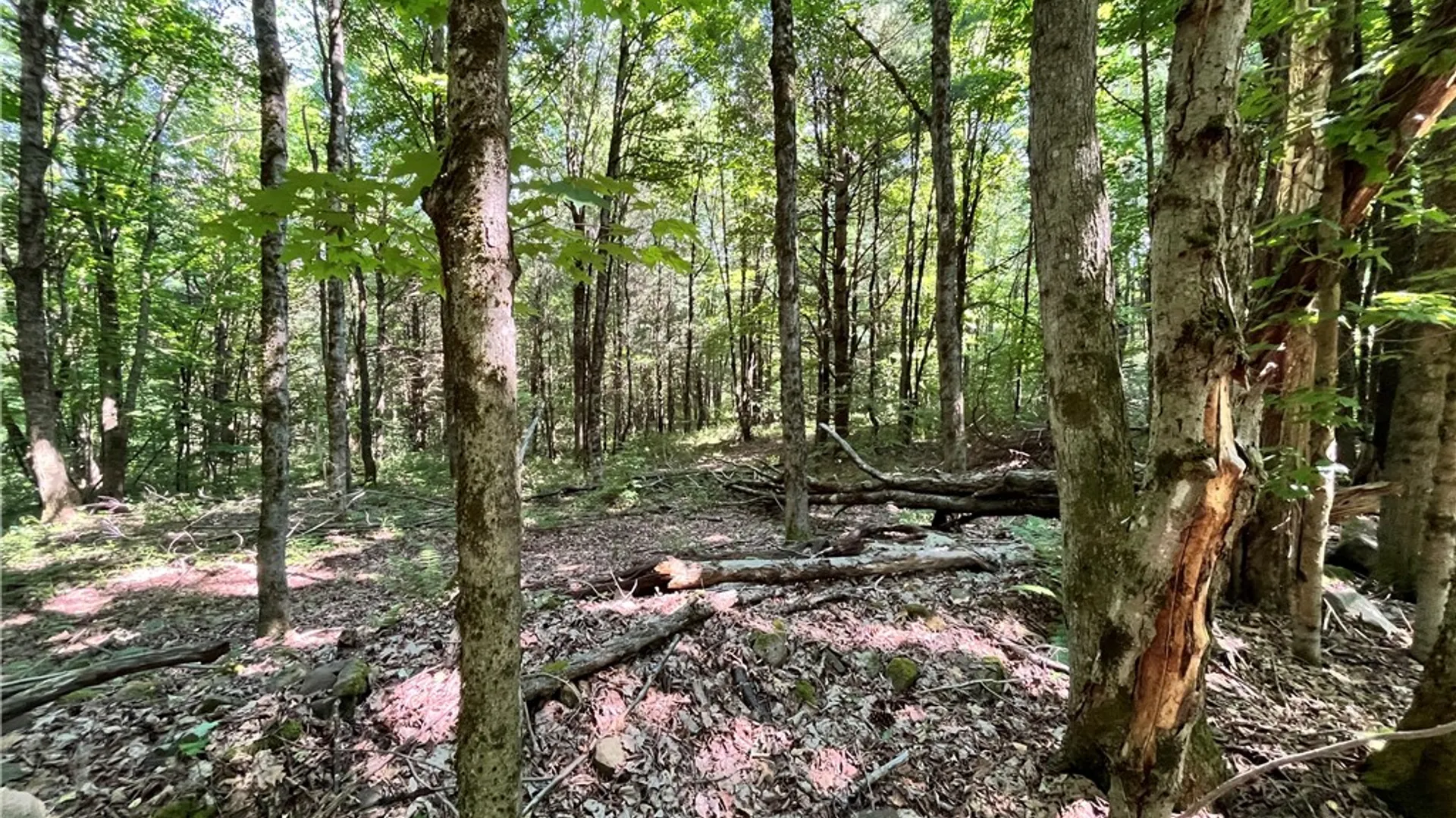 Property at 357 Cable Road, Amboy, NY 13493 33