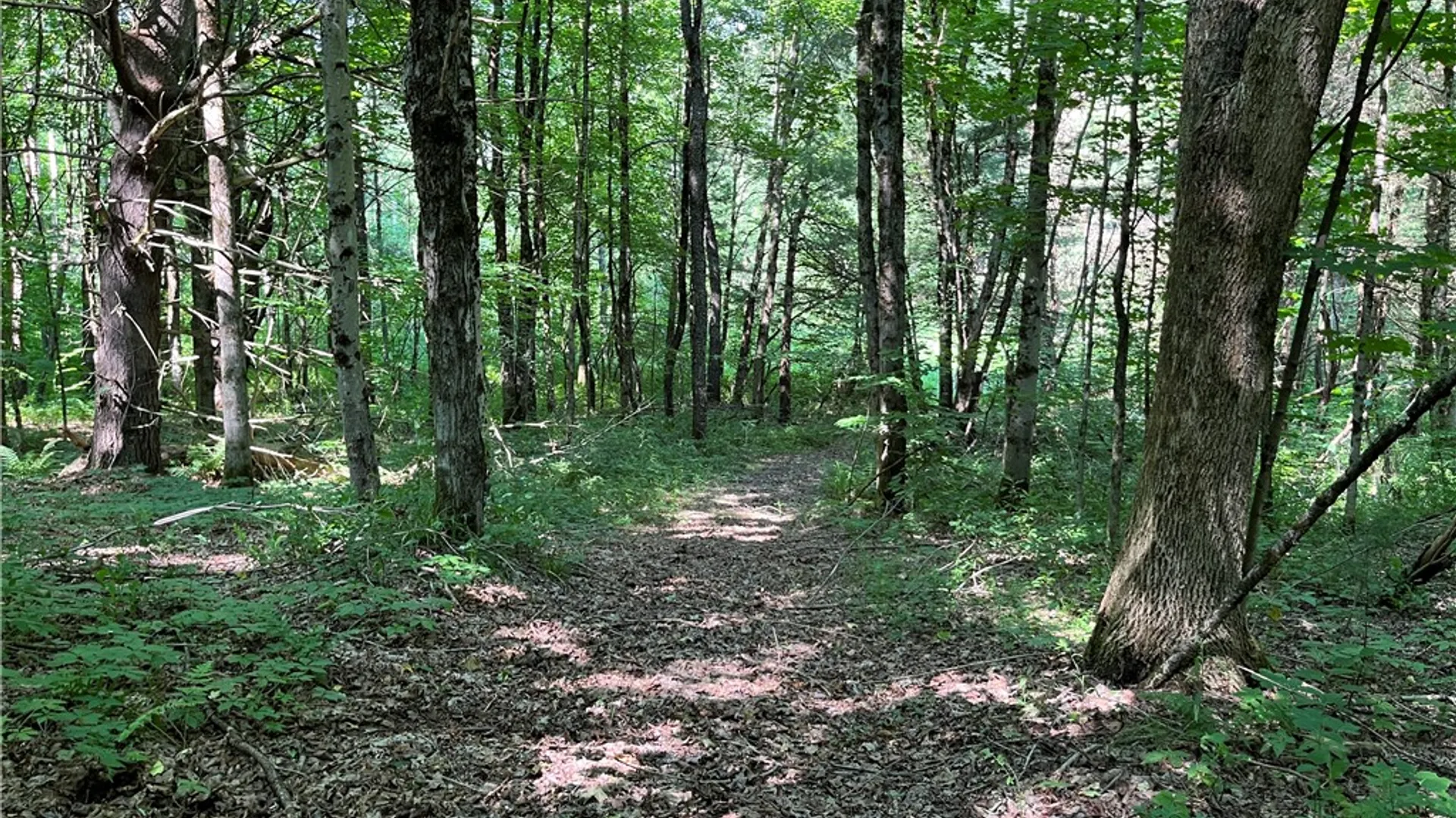 Property at 357 Cable Road, Amboy, NY 13493 34