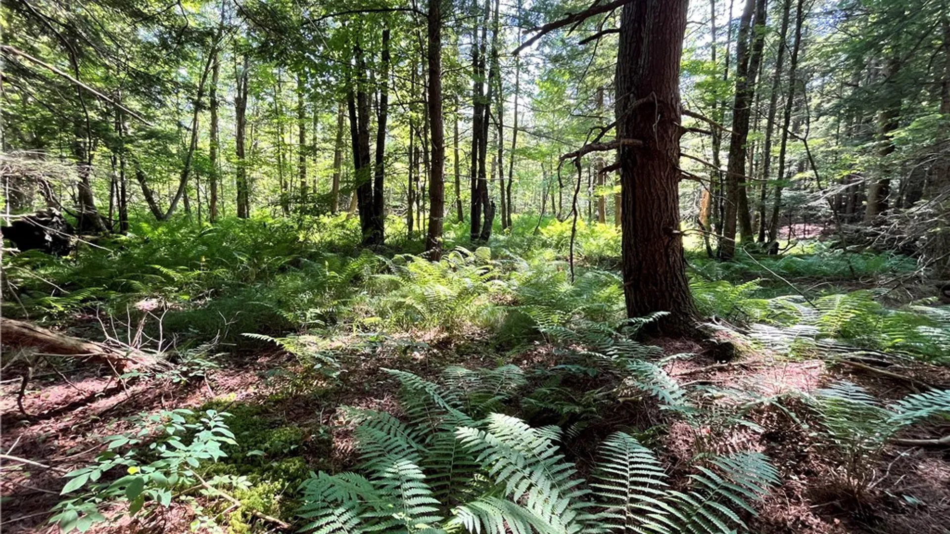 Property at 357 Cable Road, Amboy, NY 13493 43