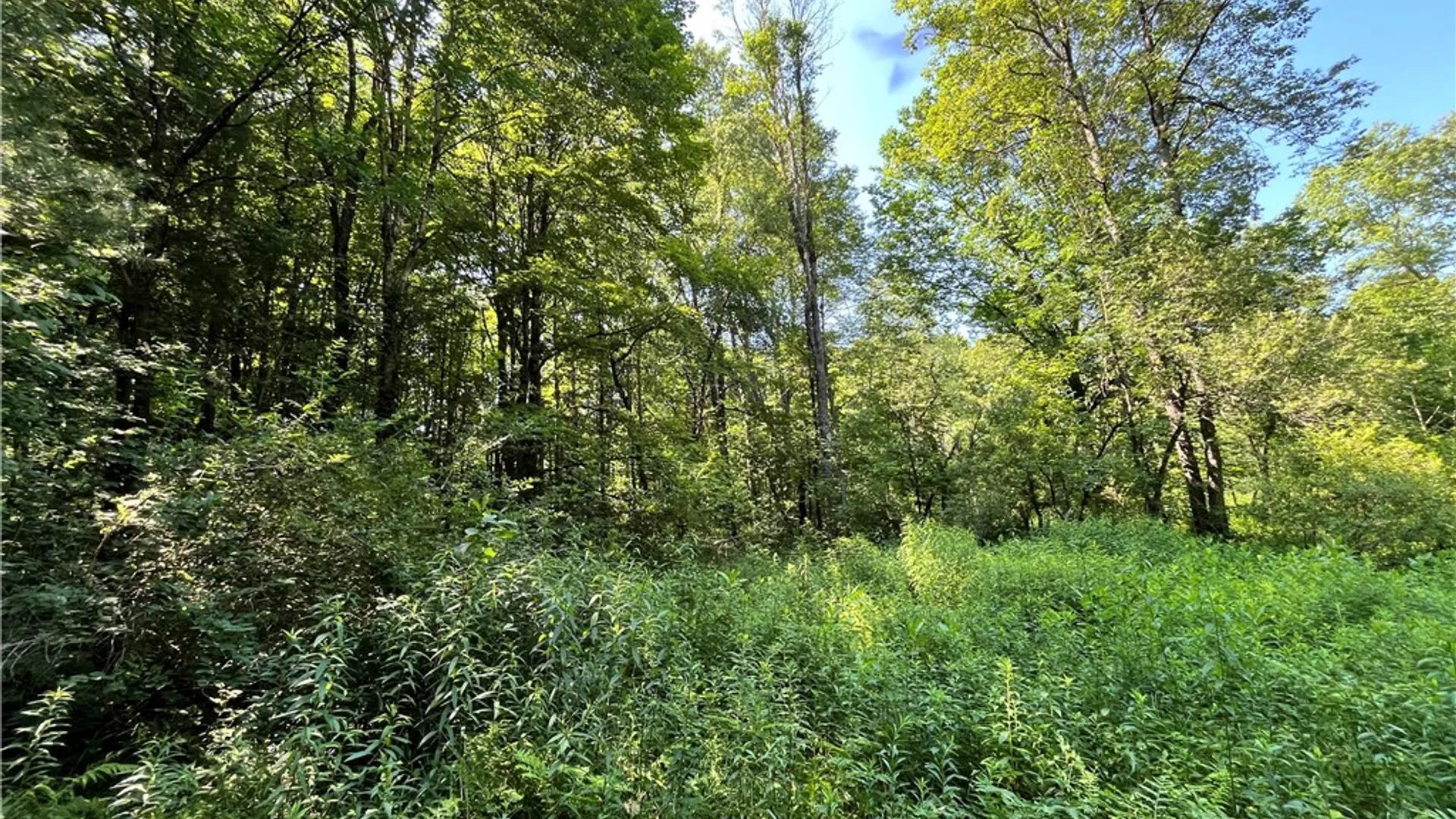 Property at 357 Cable Road, Amboy, NY 13493 44