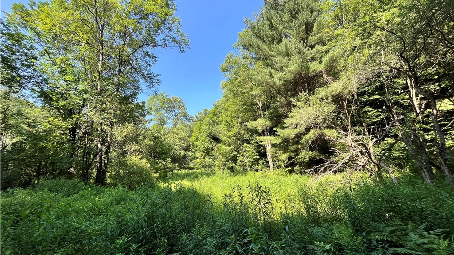 Property at 357 Cable Road, Amboy, NY 13493 45