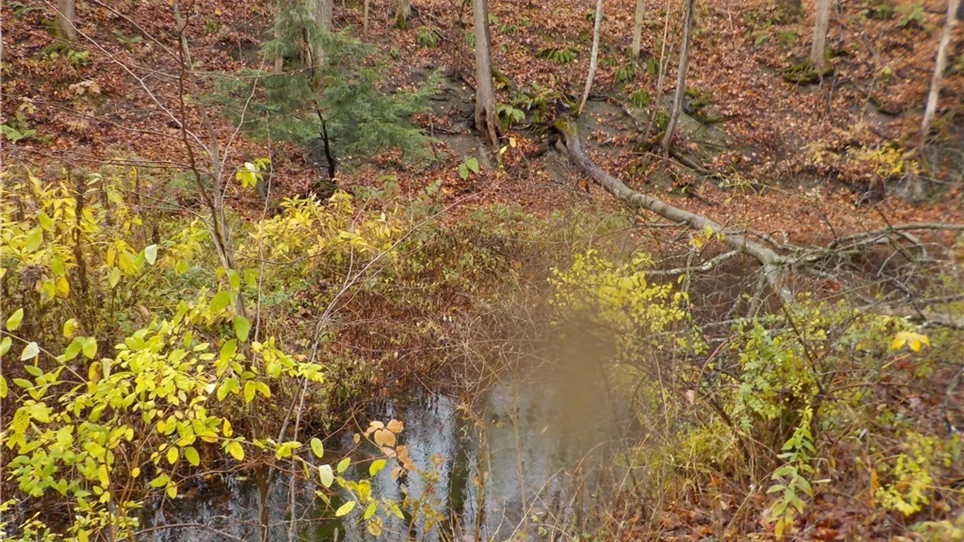 Property at 12095 Broadway Road, Victory, NY 13033 15