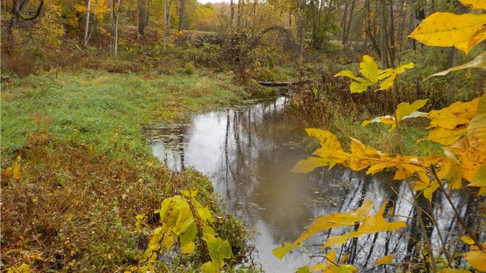 Property at 12095 Broadway Road, Victory, NY 13033 17