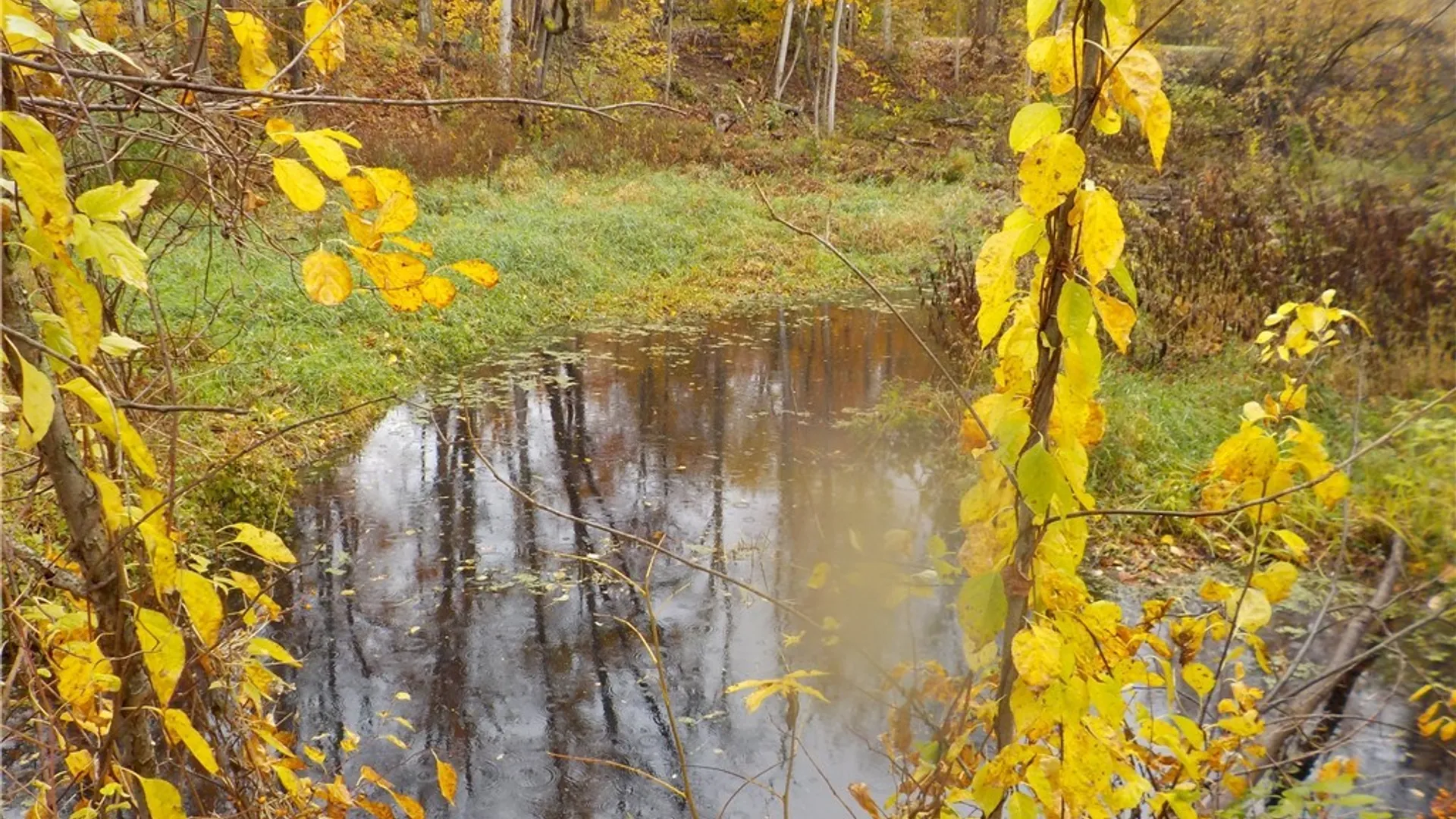 Property at 12095 Broadway Road, Victory, NY 13033 18