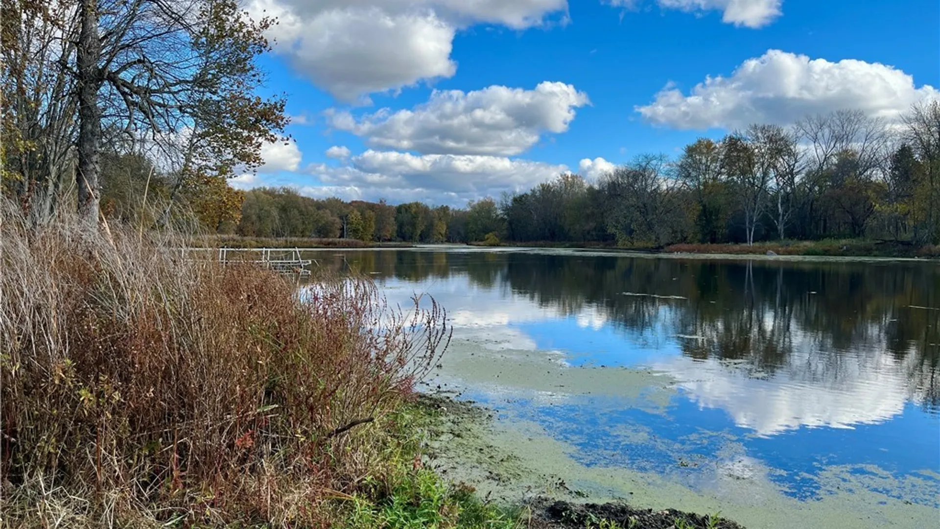 Property at 1261 Stickles Lane, Conquest, NY 13140 10