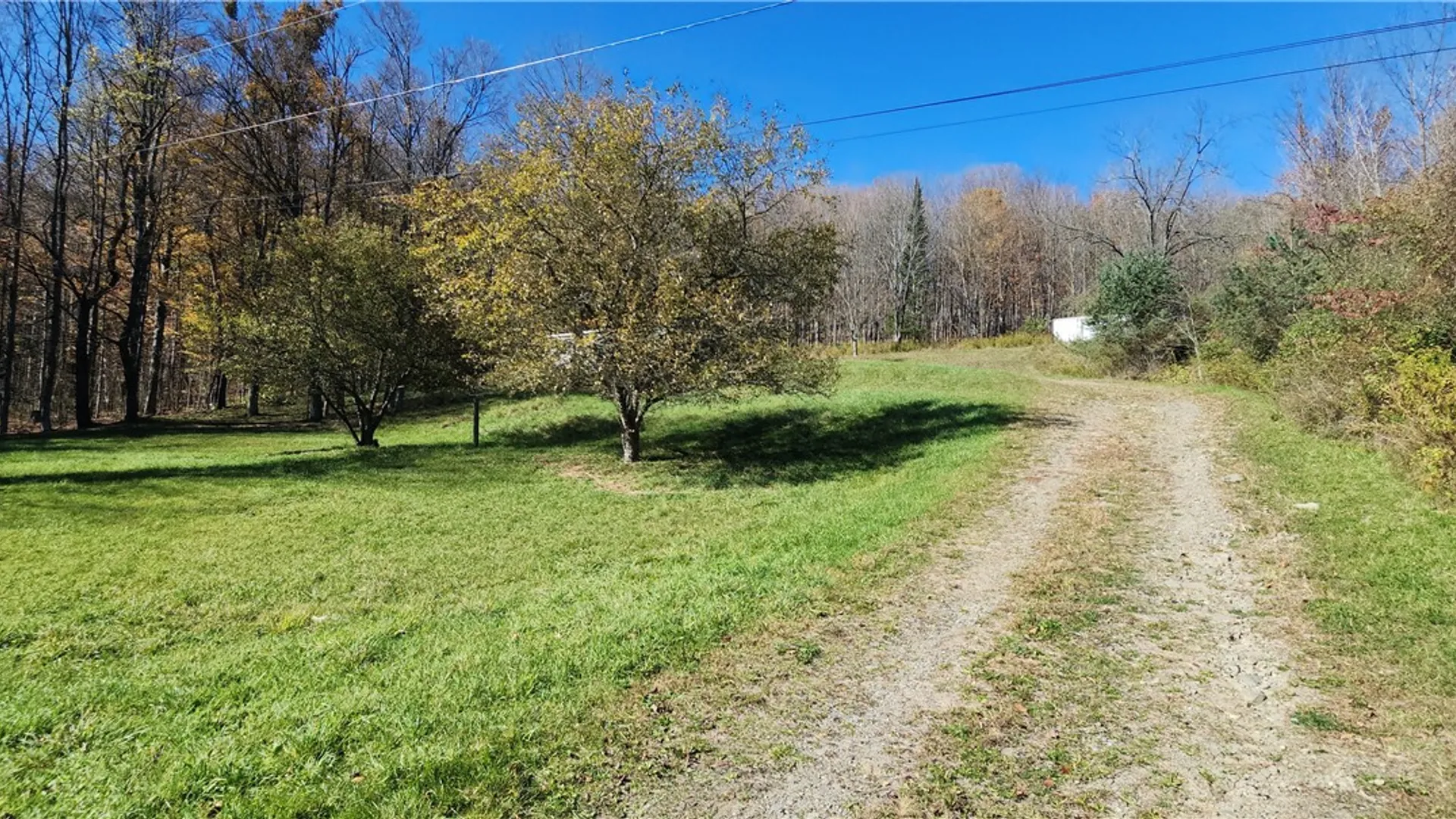 Property at 10695 Sagetown Rd, Lindley, NY 14858 25