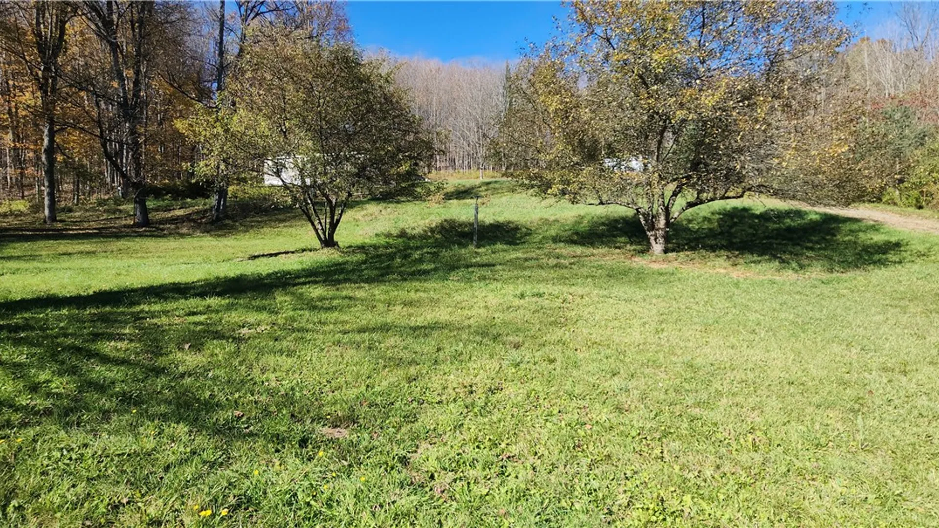 Property at 10695 Sagetown Rd, Lindley, NY 14858 28