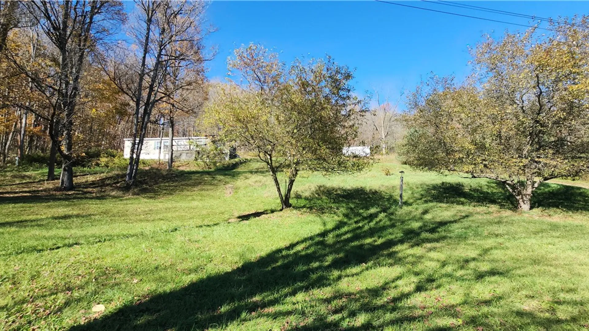Property at 10695 Sagetown Rd, Lindley, NY 14858 4