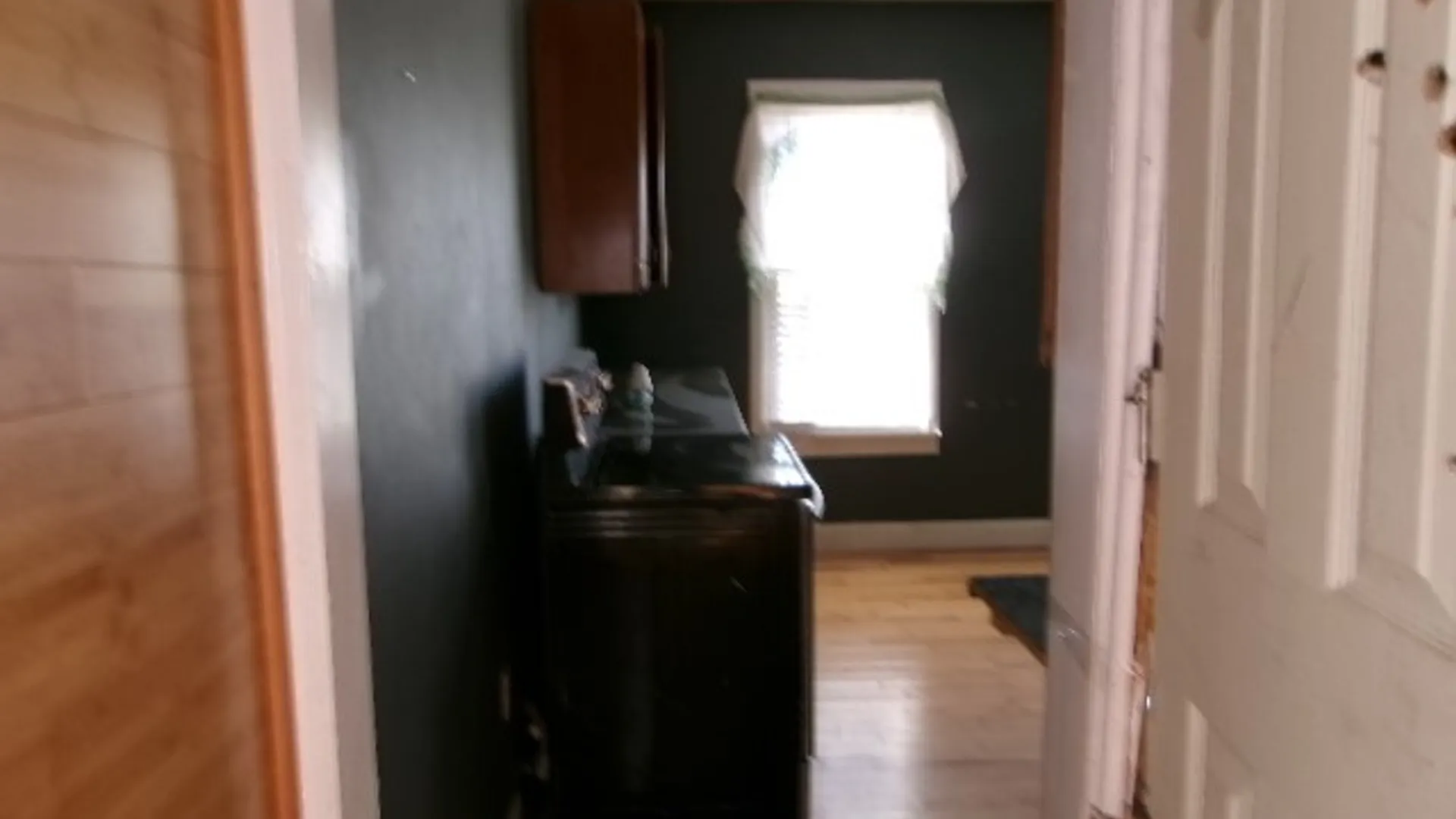 Property at 17 Loomis Street, Little Falls City, NY 13365 43