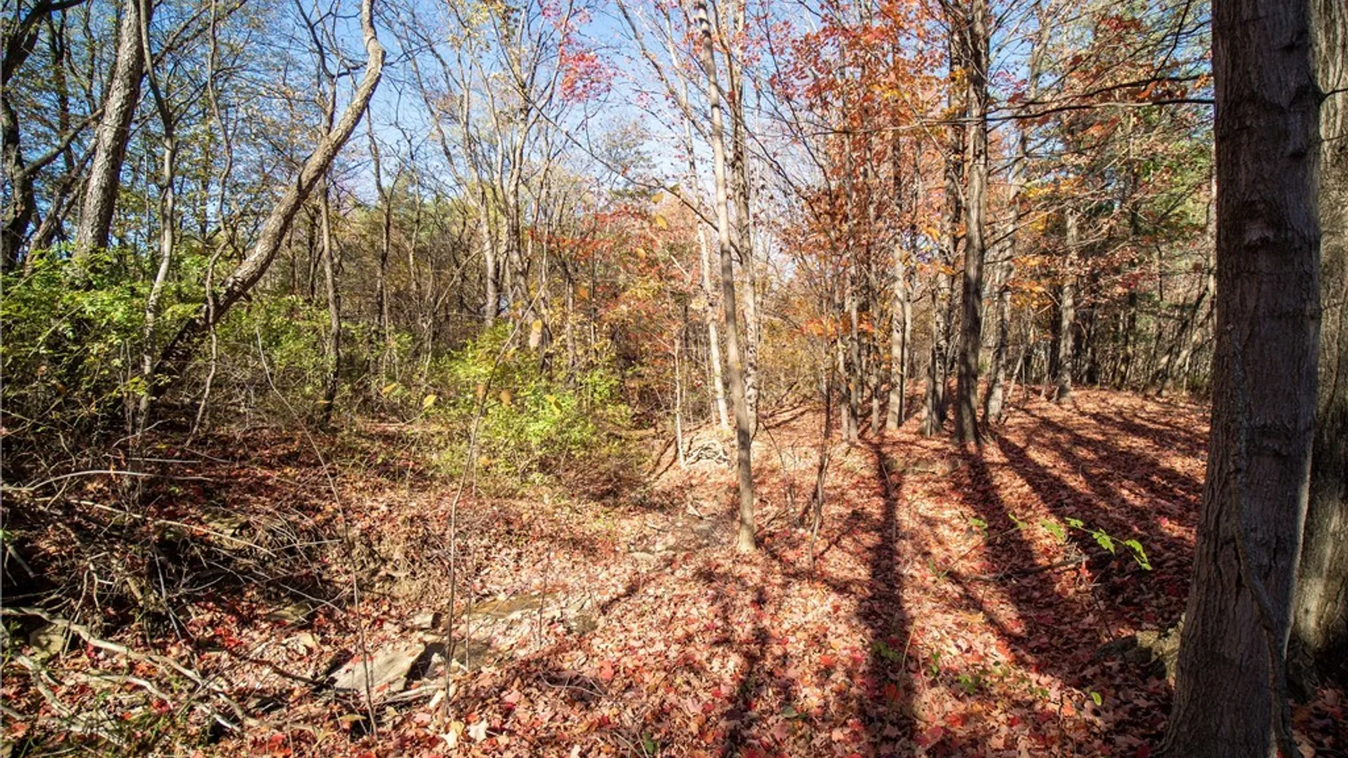 Property at Stone Road, Pomfret, NY 14063 6