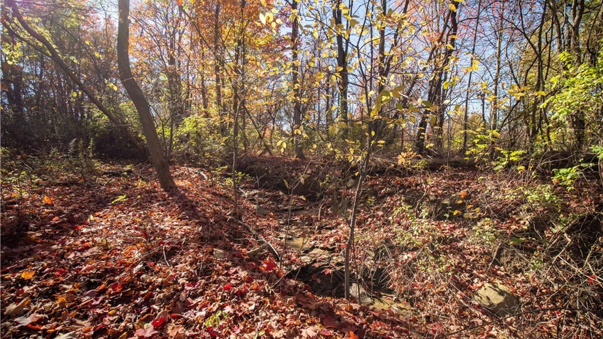 Property at Stone Road, Pomfret, NY 14063 7