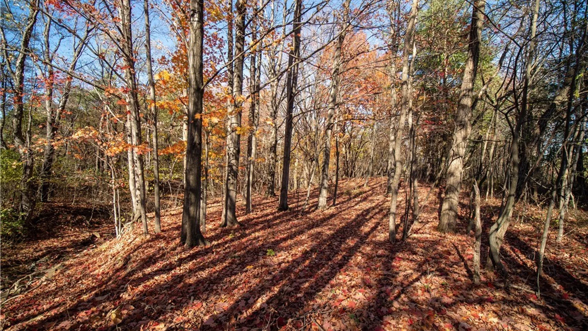 Property at Stone Road, Pomfret, NY 14063 8