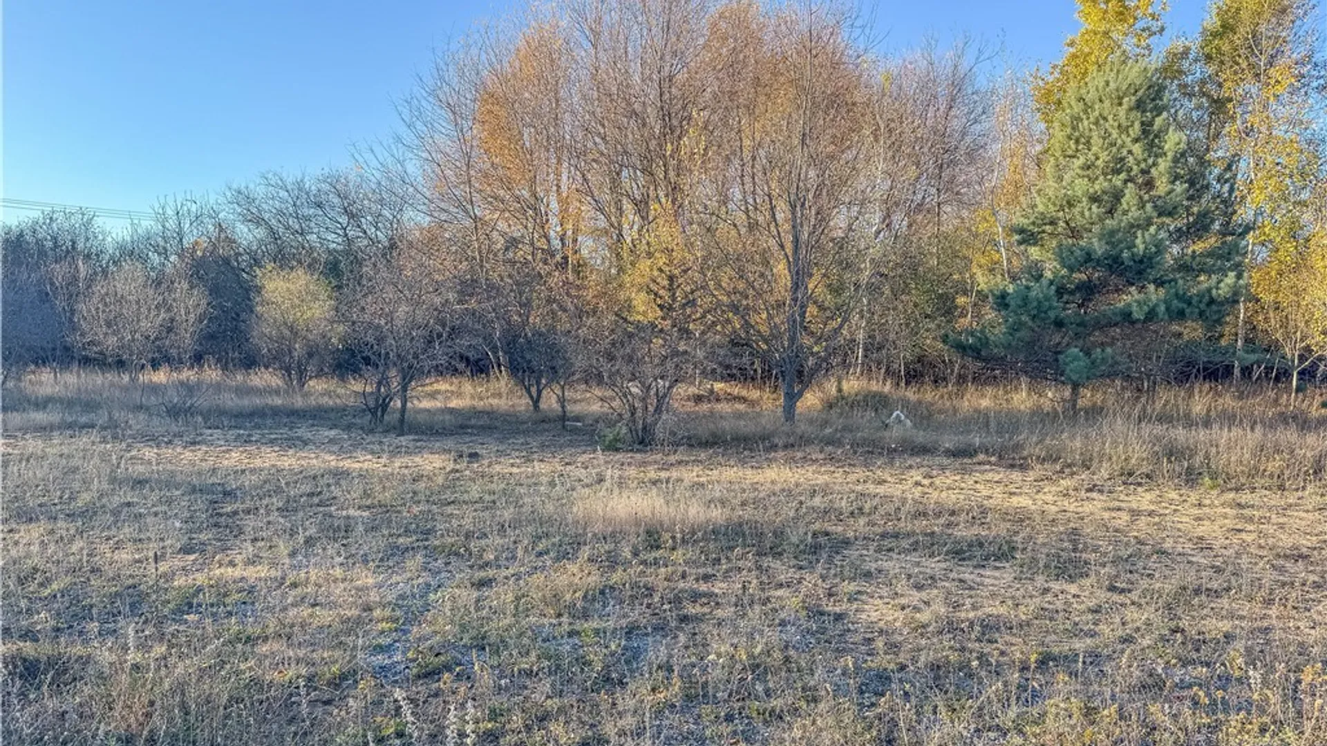 Property at Bellow Avenue, Watertown City, NY 13601 18