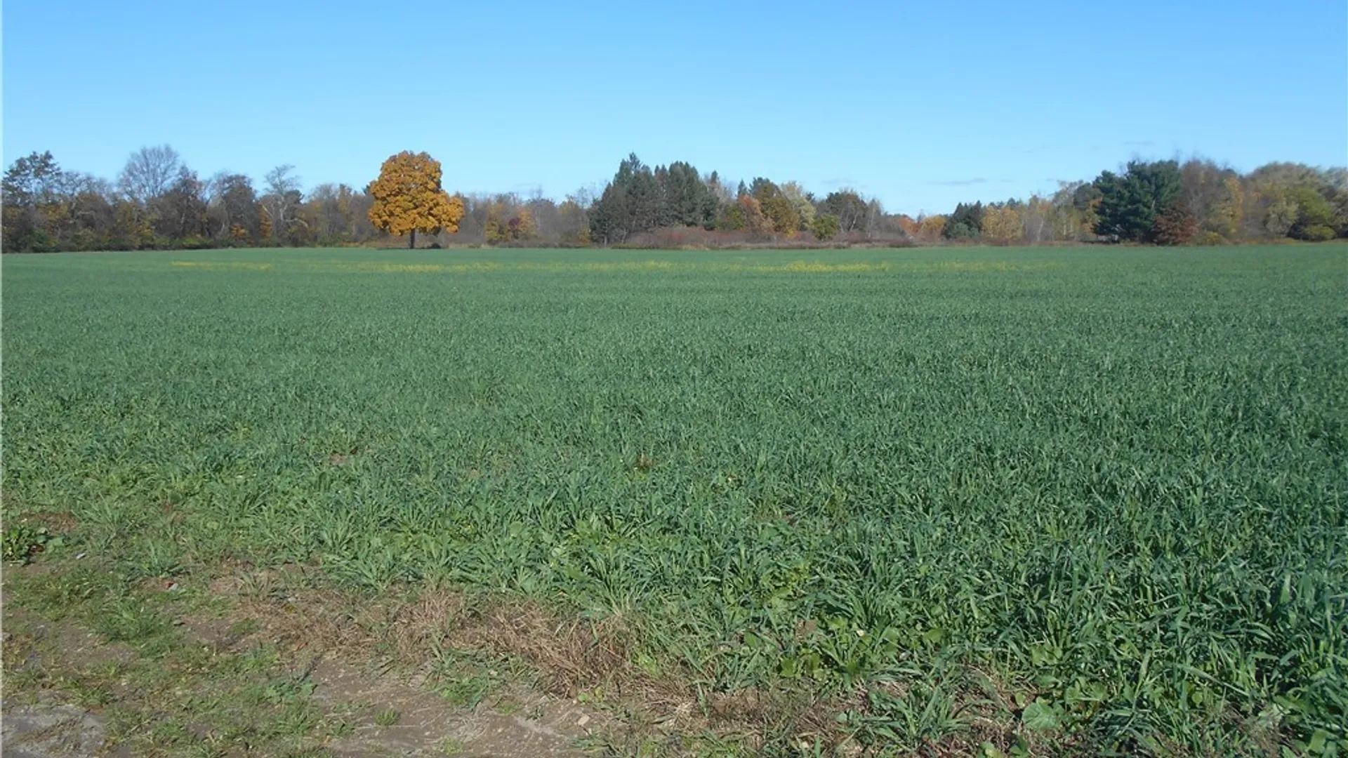 Property at Gowanda State Road, Hamburg, NY 14075 10