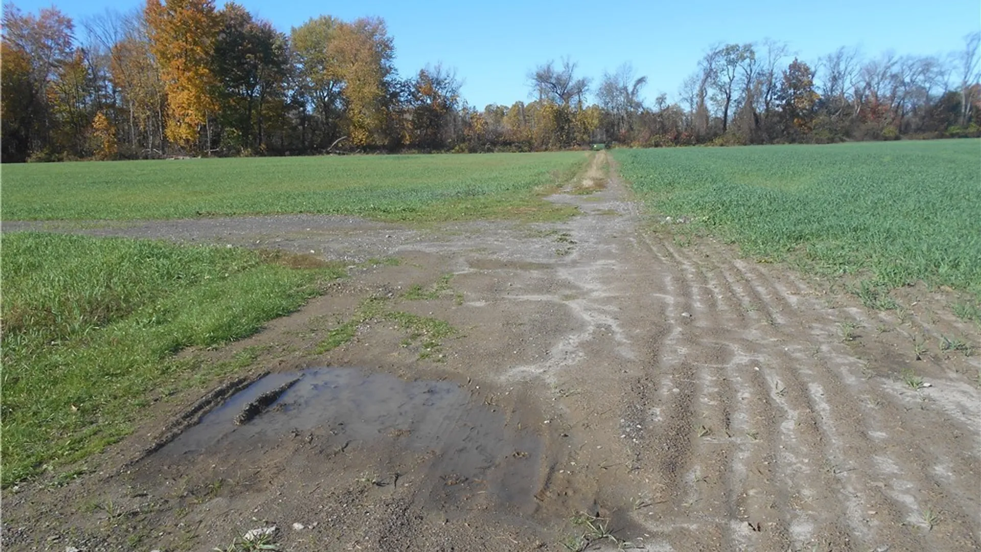 Property at Gowanda State Road, Hamburg, NY 14075 11