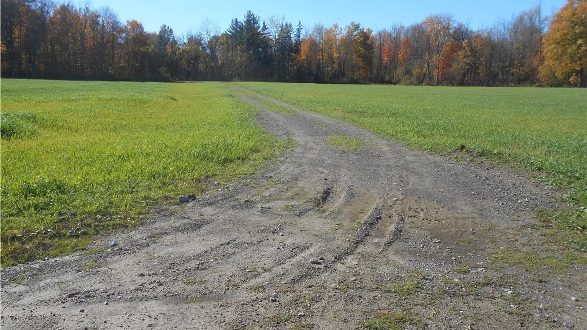 Property at Gowanda State Road, Hamburg, NY 14075 12