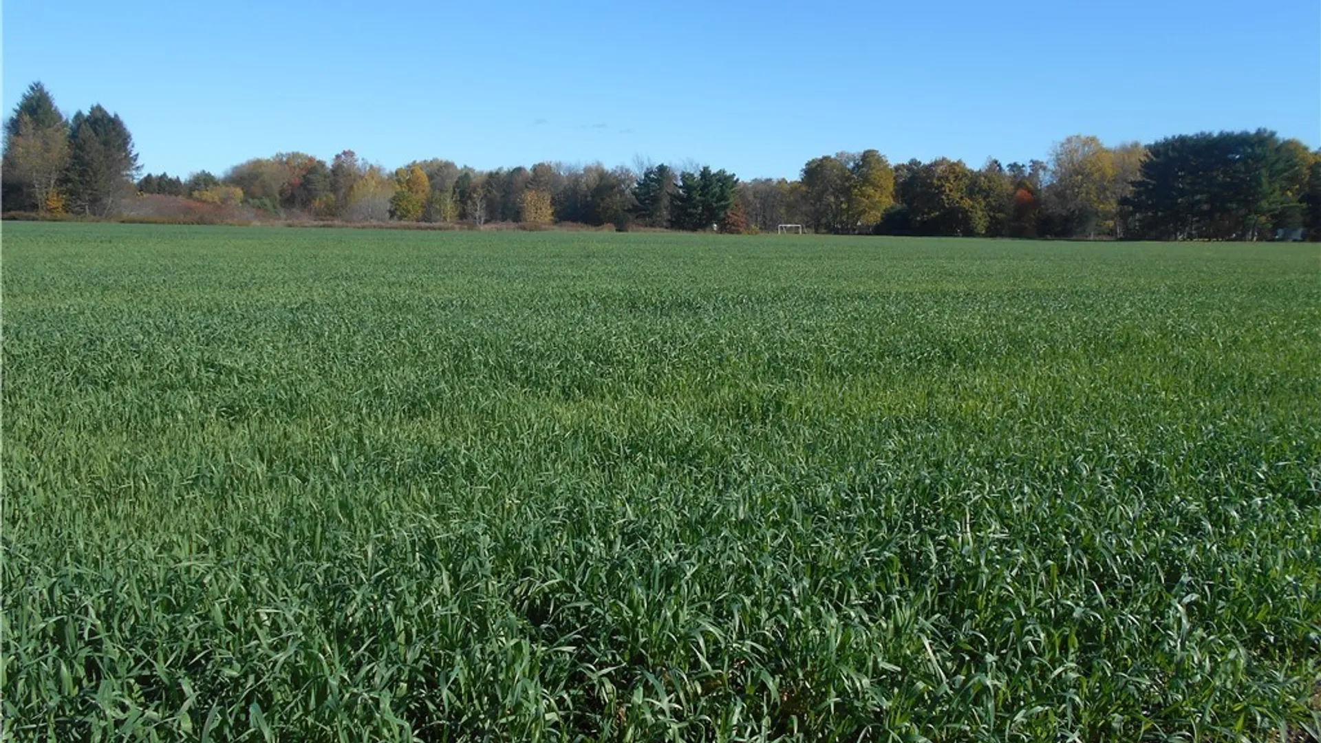 Property at Gowanda State Road, Hamburg, NY 14075 14