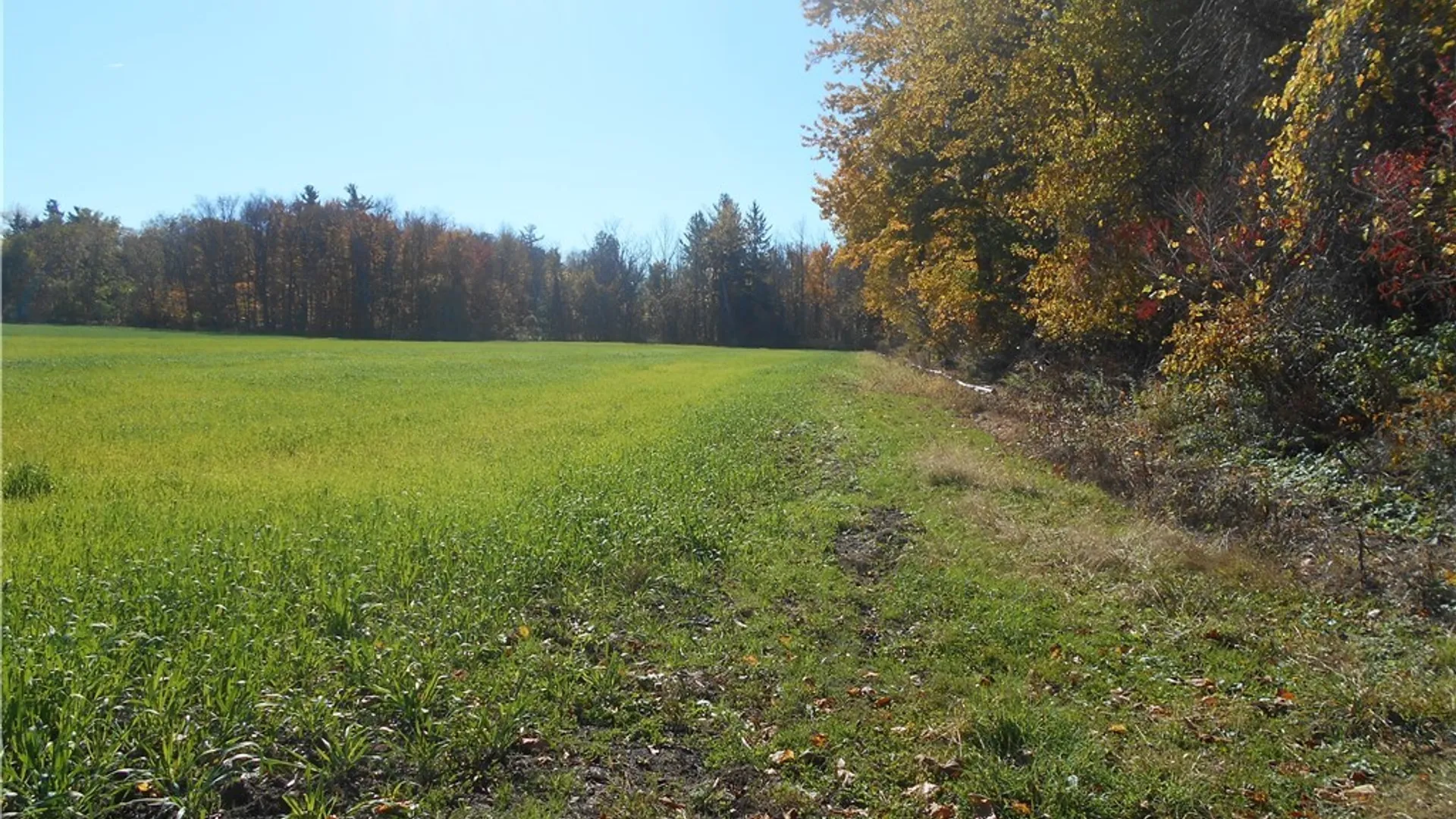 Property at Gowanda State Road, Hamburg, NY 14075 16