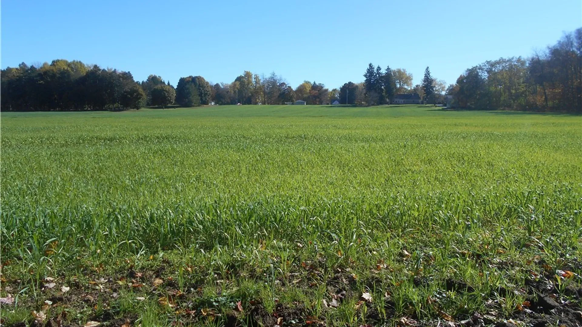 Property at Gowanda State Road, Hamburg, NY 14075 17