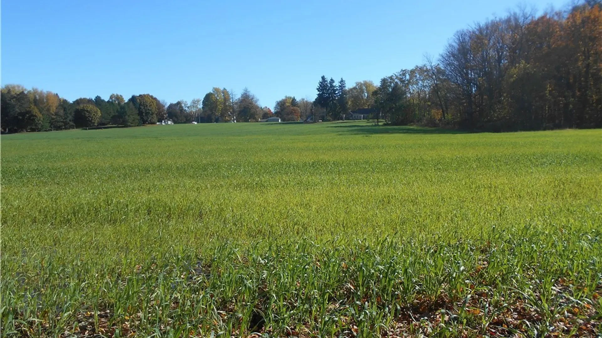 Property at Gowanda State Road, Hamburg, NY 14075 19