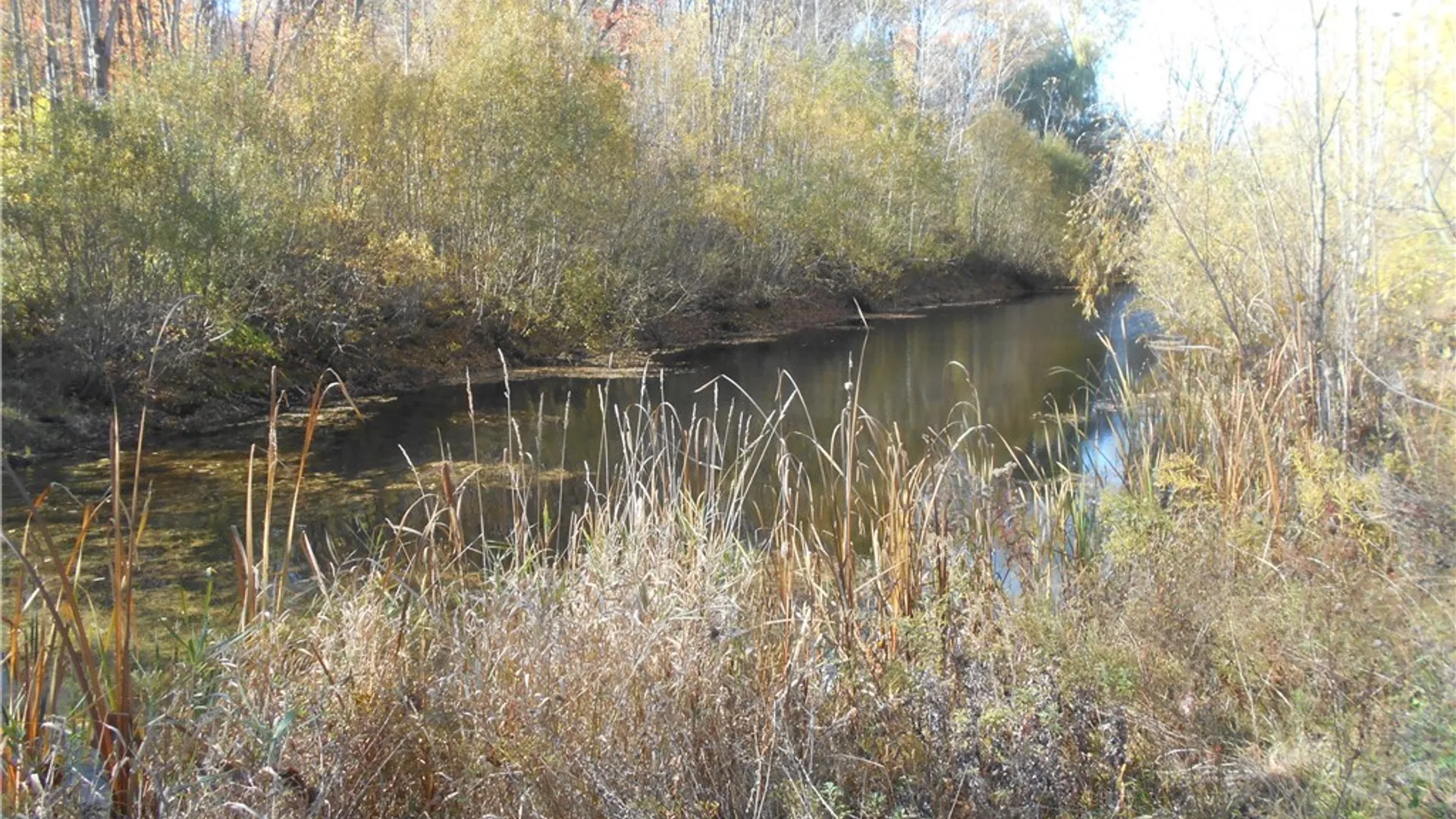 Property at Gowanda State Road, Hamburg, NY 14075 21