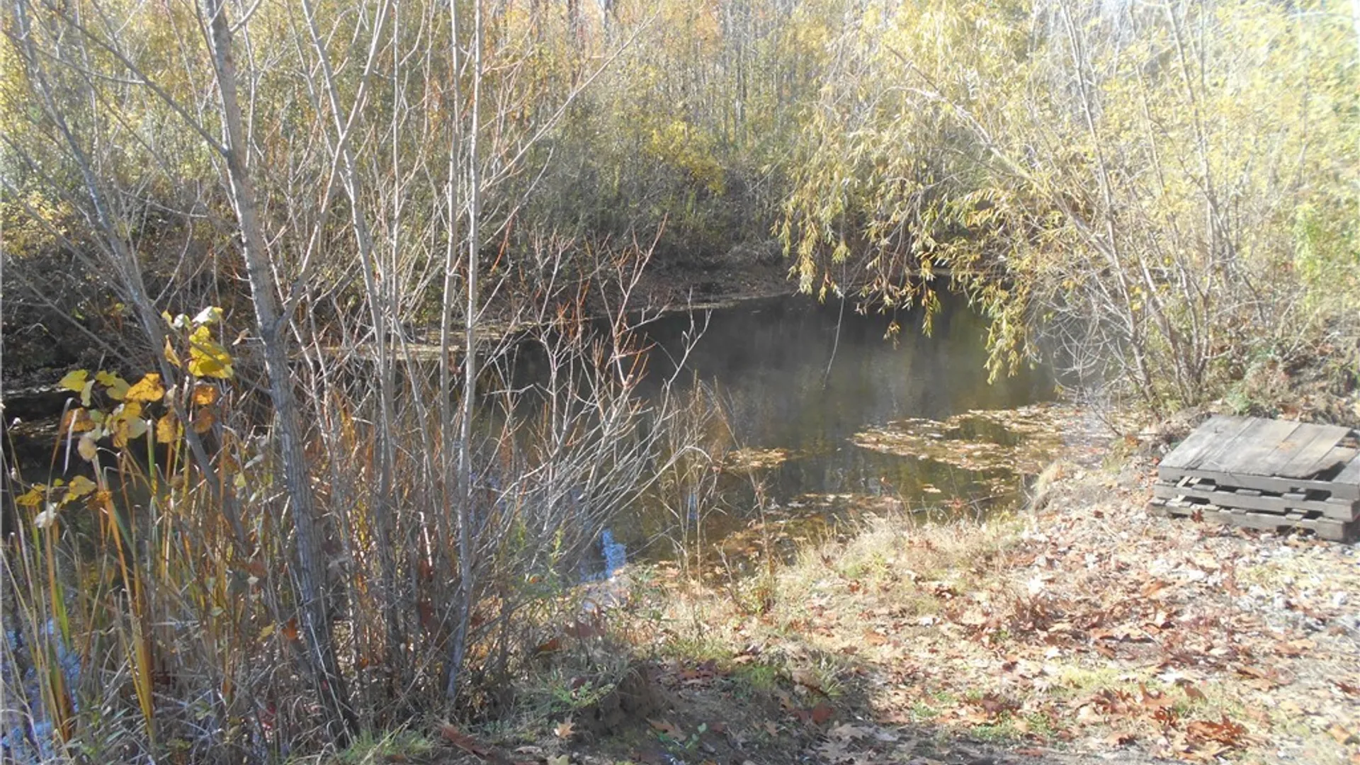 Property at Gowanda State Road, Hamburg, NY 14075 22