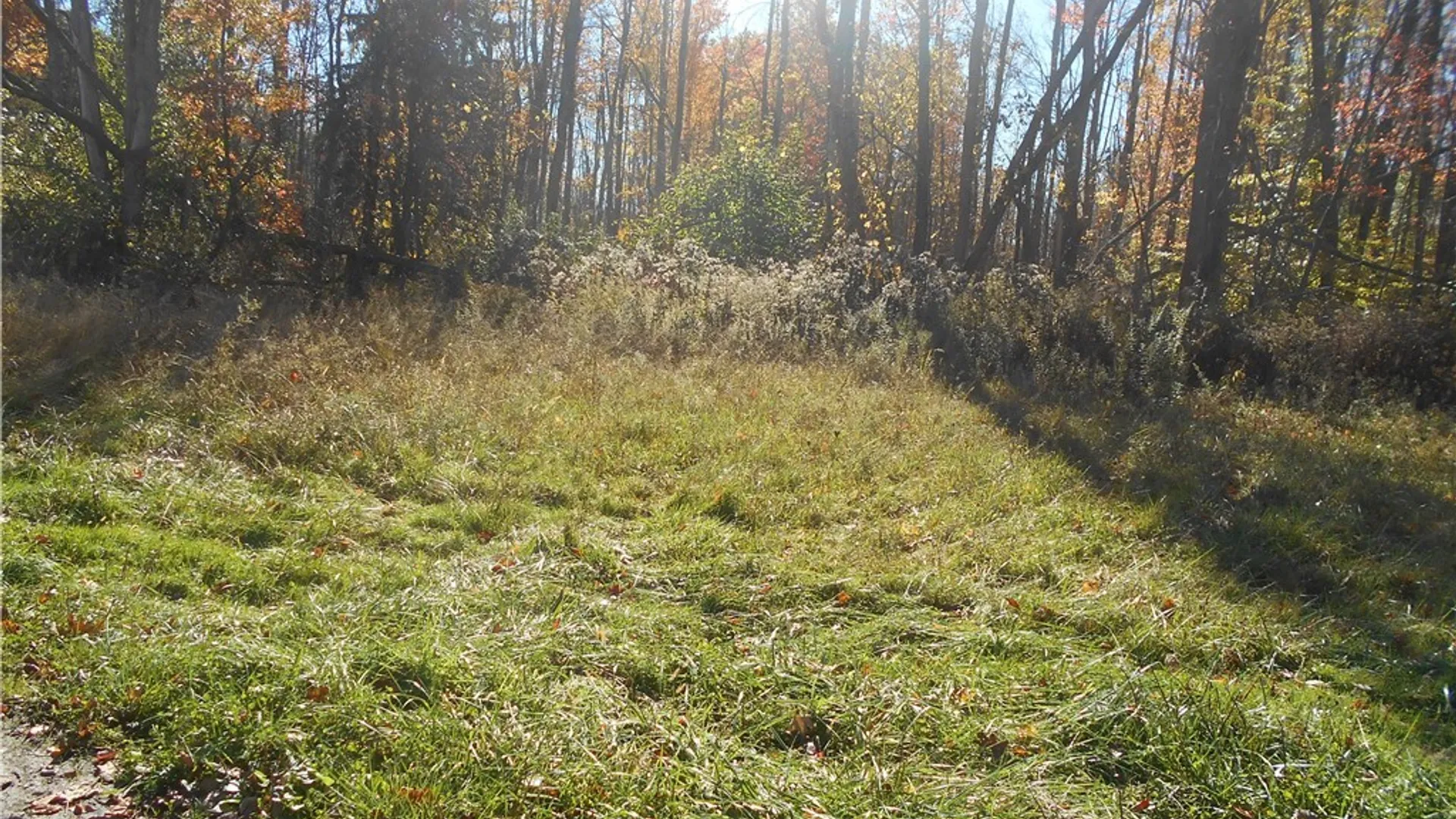 Property at Gowanda State Road, Hamburg, NY 14075 25