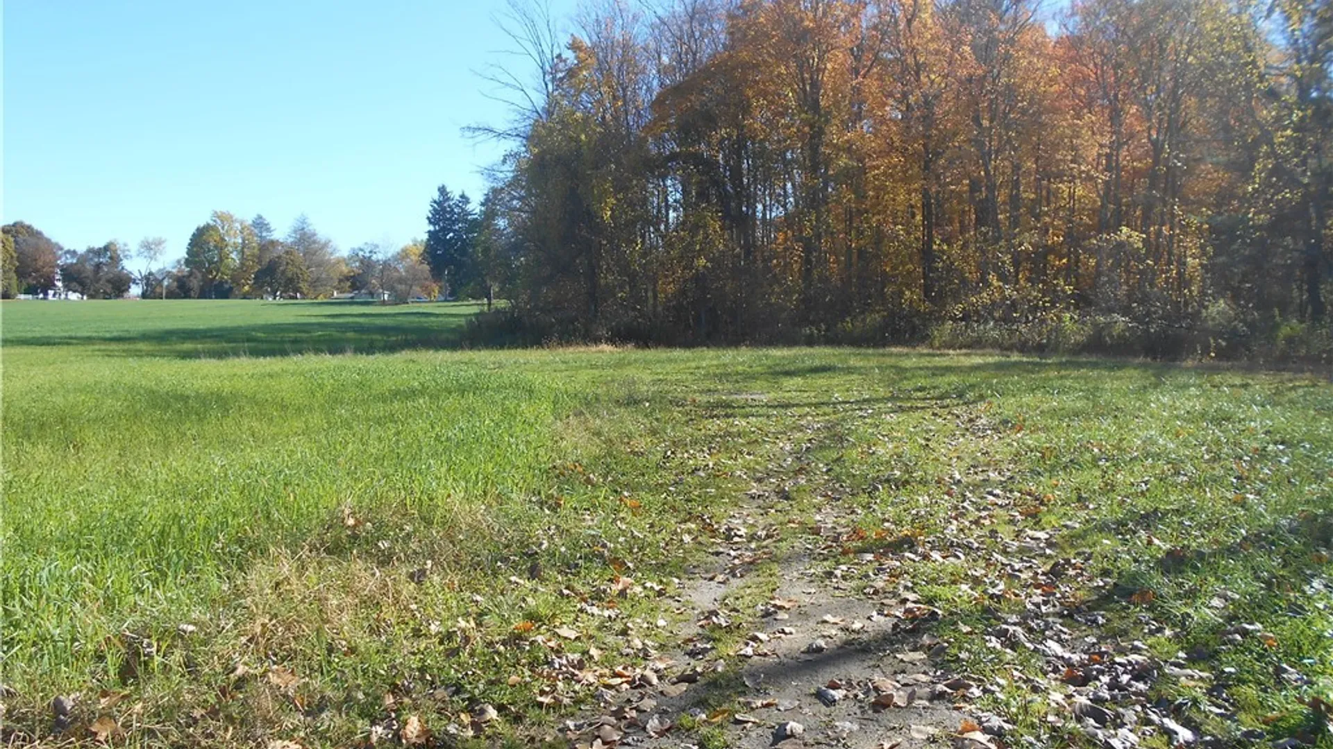 Property at Gowanda State Road, Hamburg, NY 14075 26