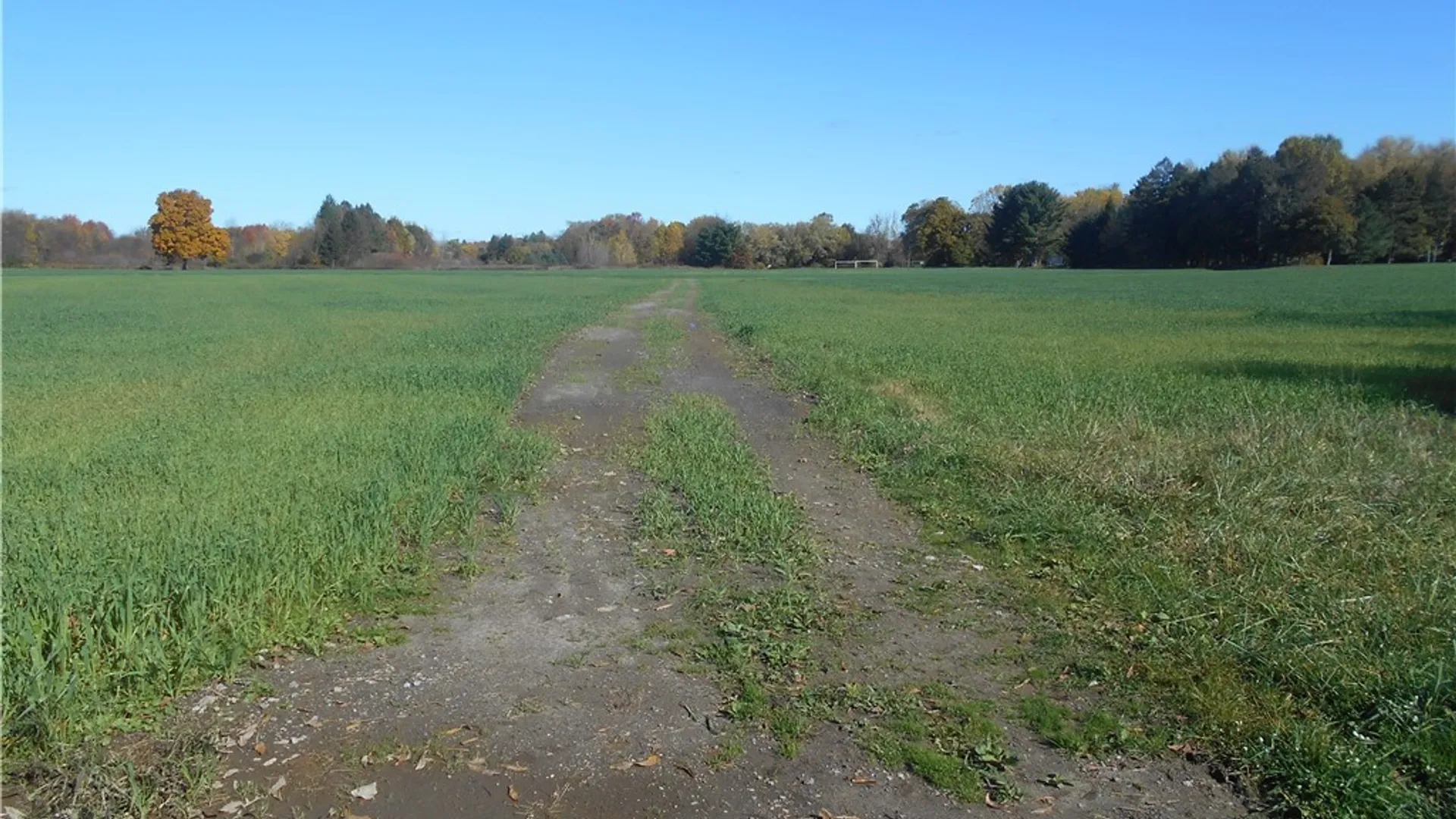 Property at Gowanda State Road, Hamburg, NY 14075 27